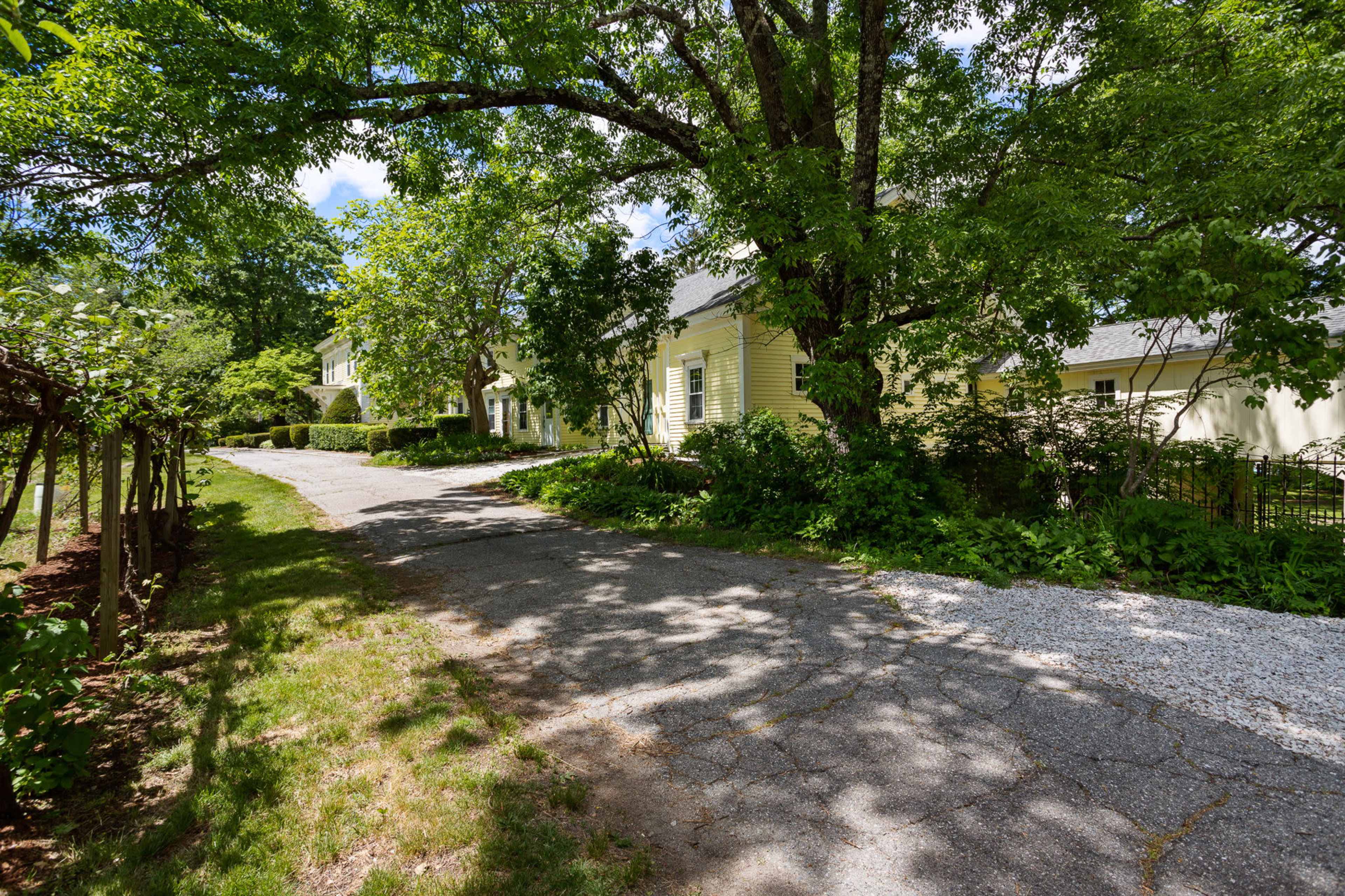 A gravel and dirt driveway is flanked by leafy trees and leads up to two houses.