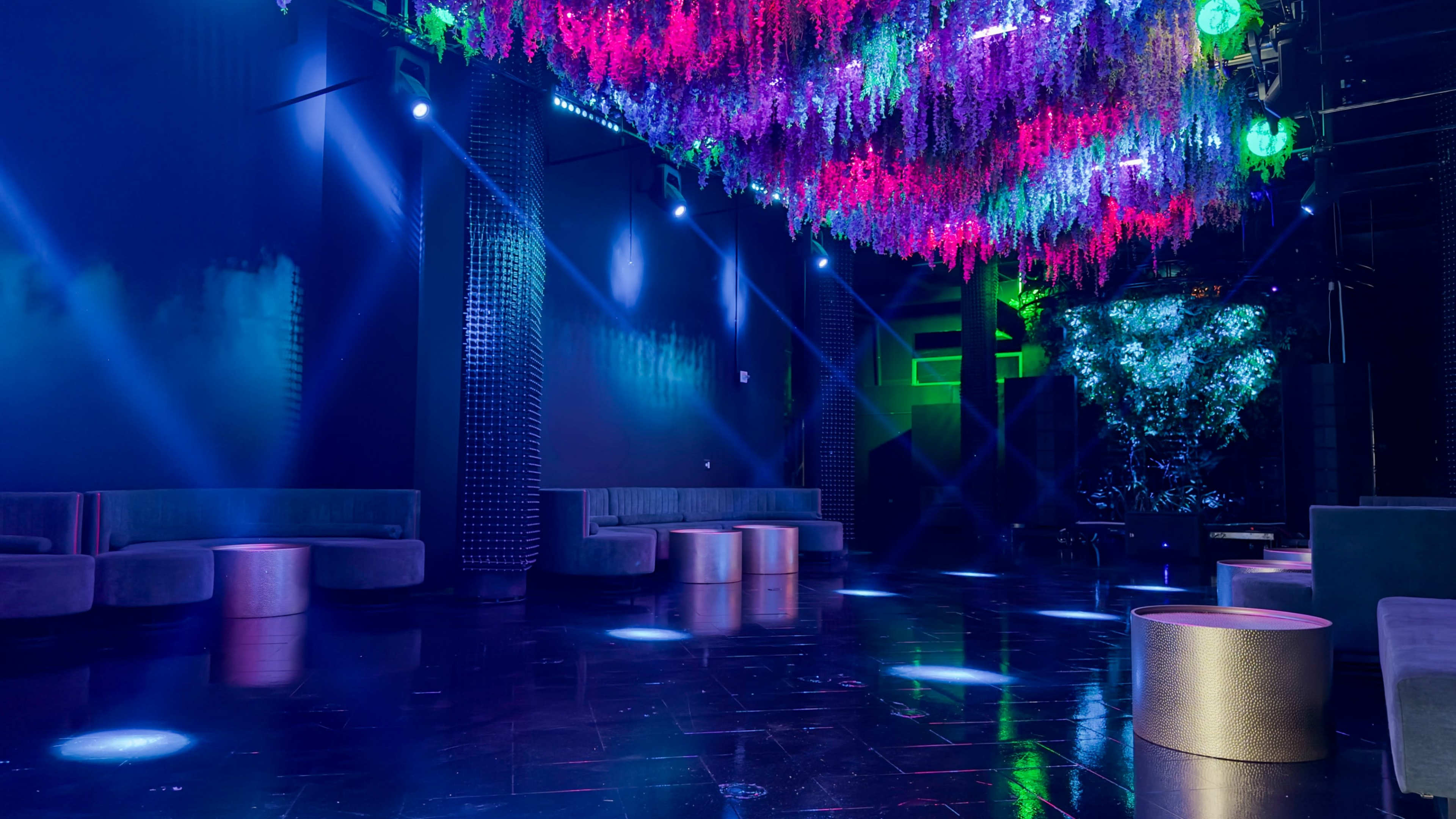 The image shows a dimly lit nightclub interior with colorful artificial plants hanging from the ceiling and circular tables scattered across a polished floor.
