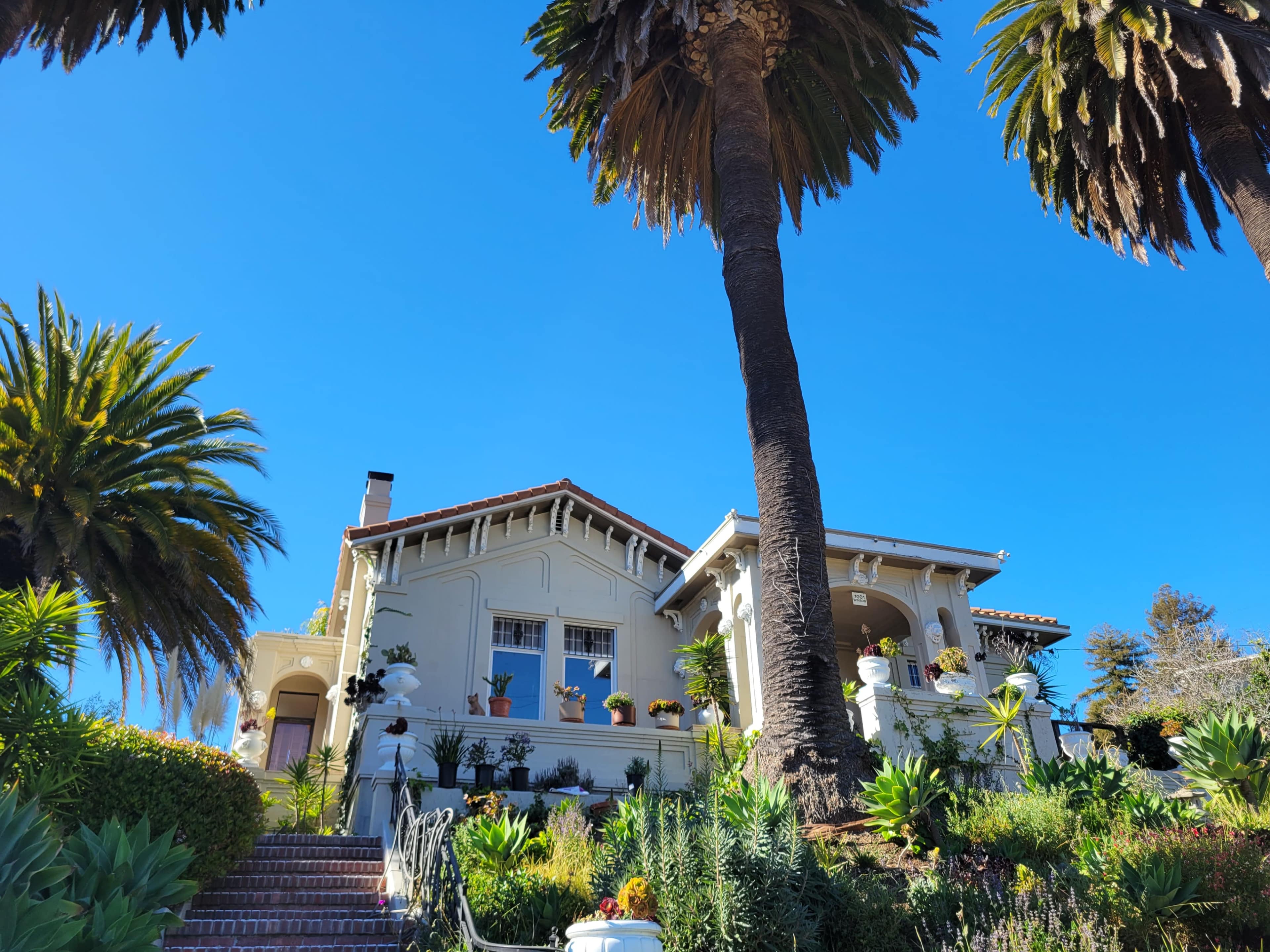 A large two-story house with a front porch is surrounded by tall palm trees and lush greenery against a clear blue sky.