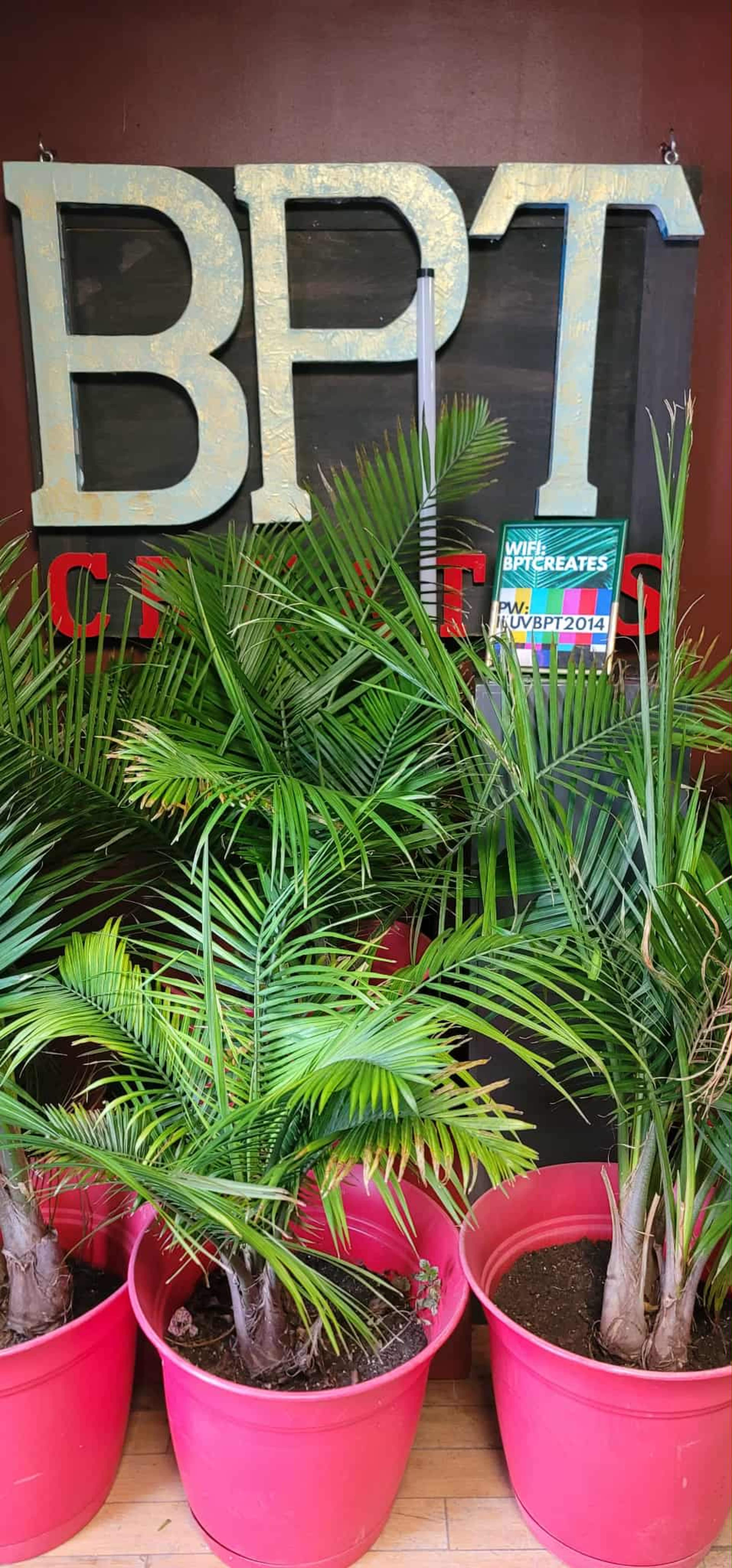 The image features several potted palm plants in bright pink containers against a backdrop with a large "BPT" sign.