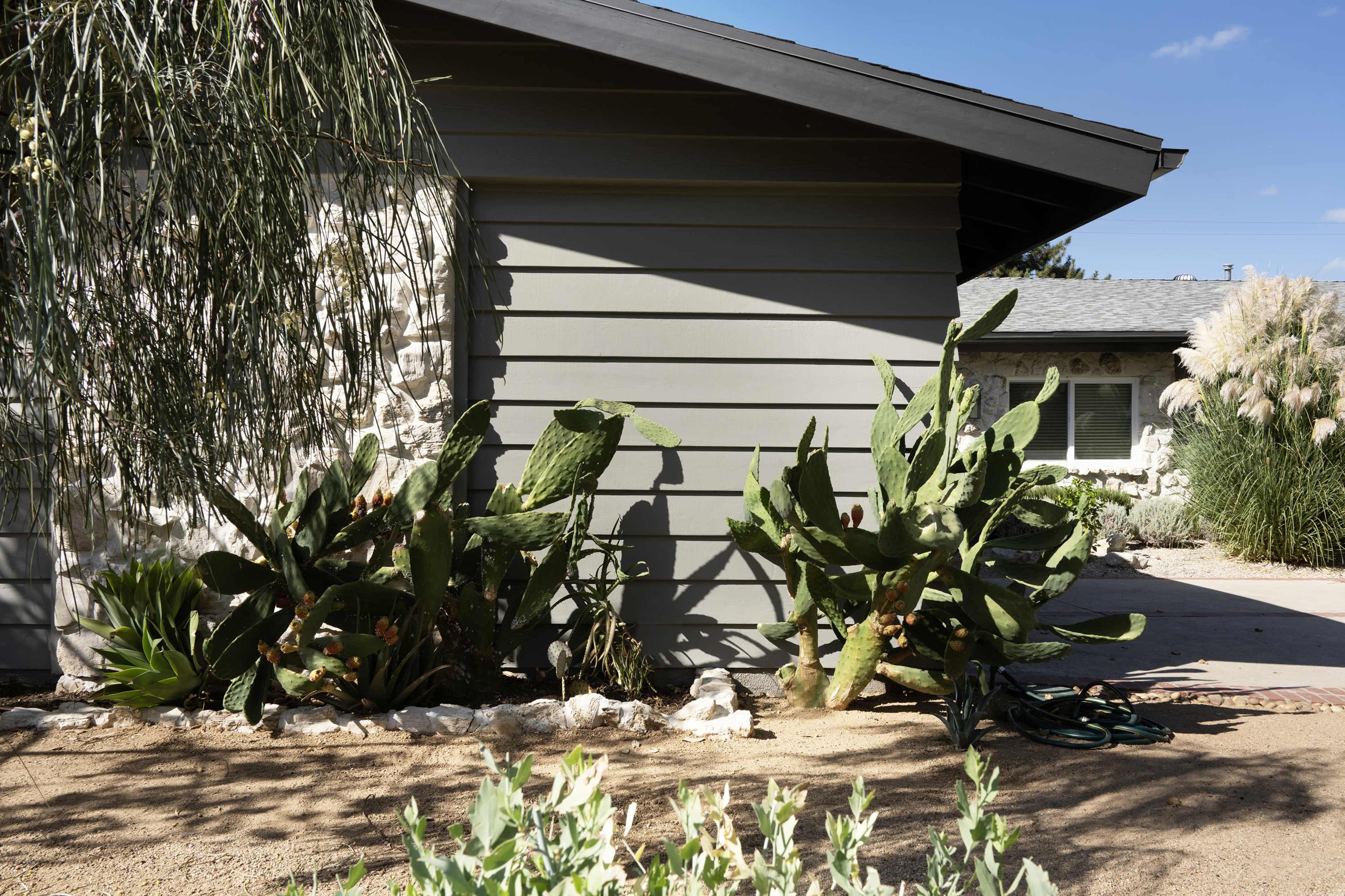 The image shows a modern house with a gray exterior and various desert plants, including a large cactus, in a landscaped yard.