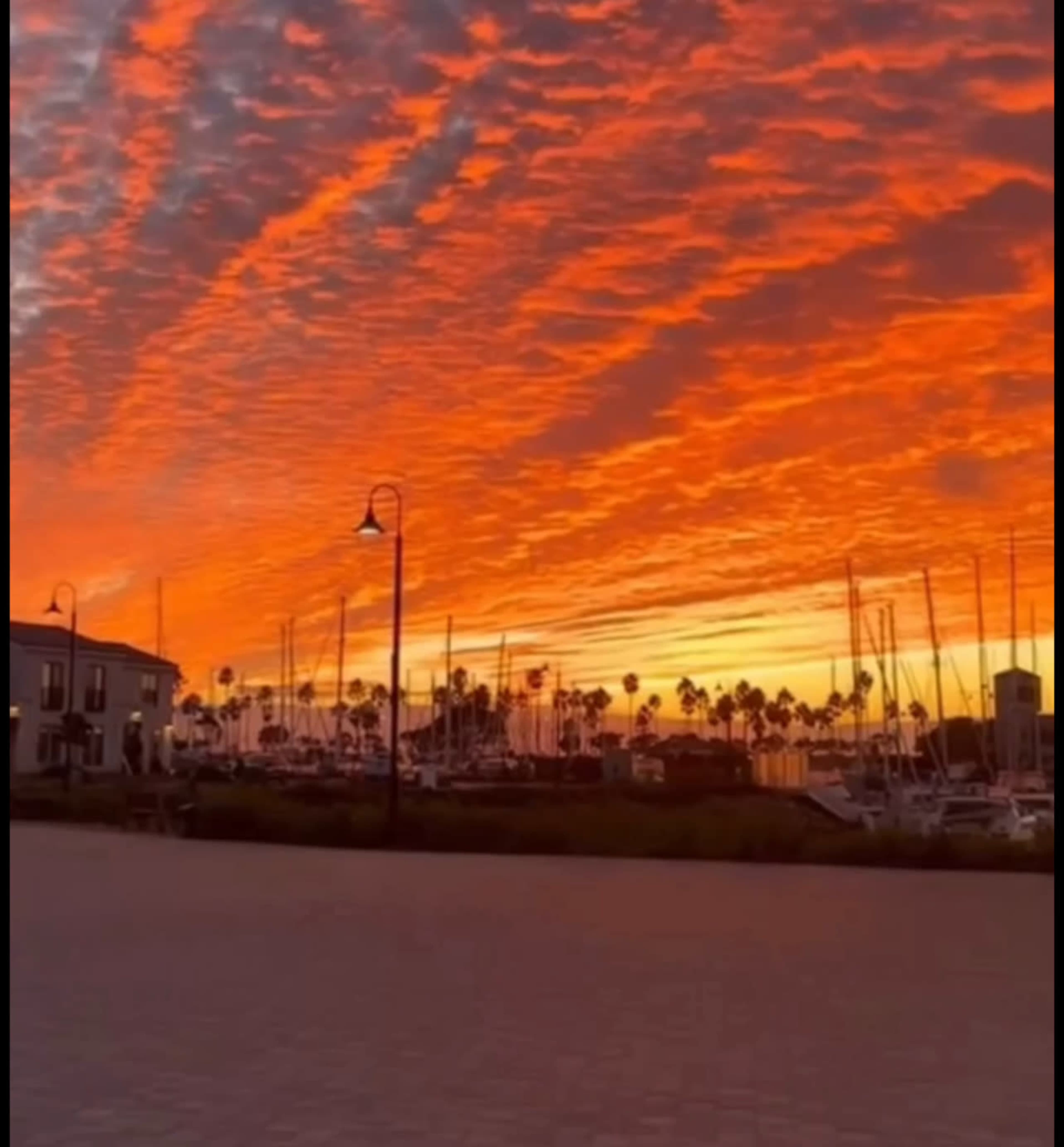 A vibrant sunset casts an orange glow over a marina filled with sailboats and palm trees.