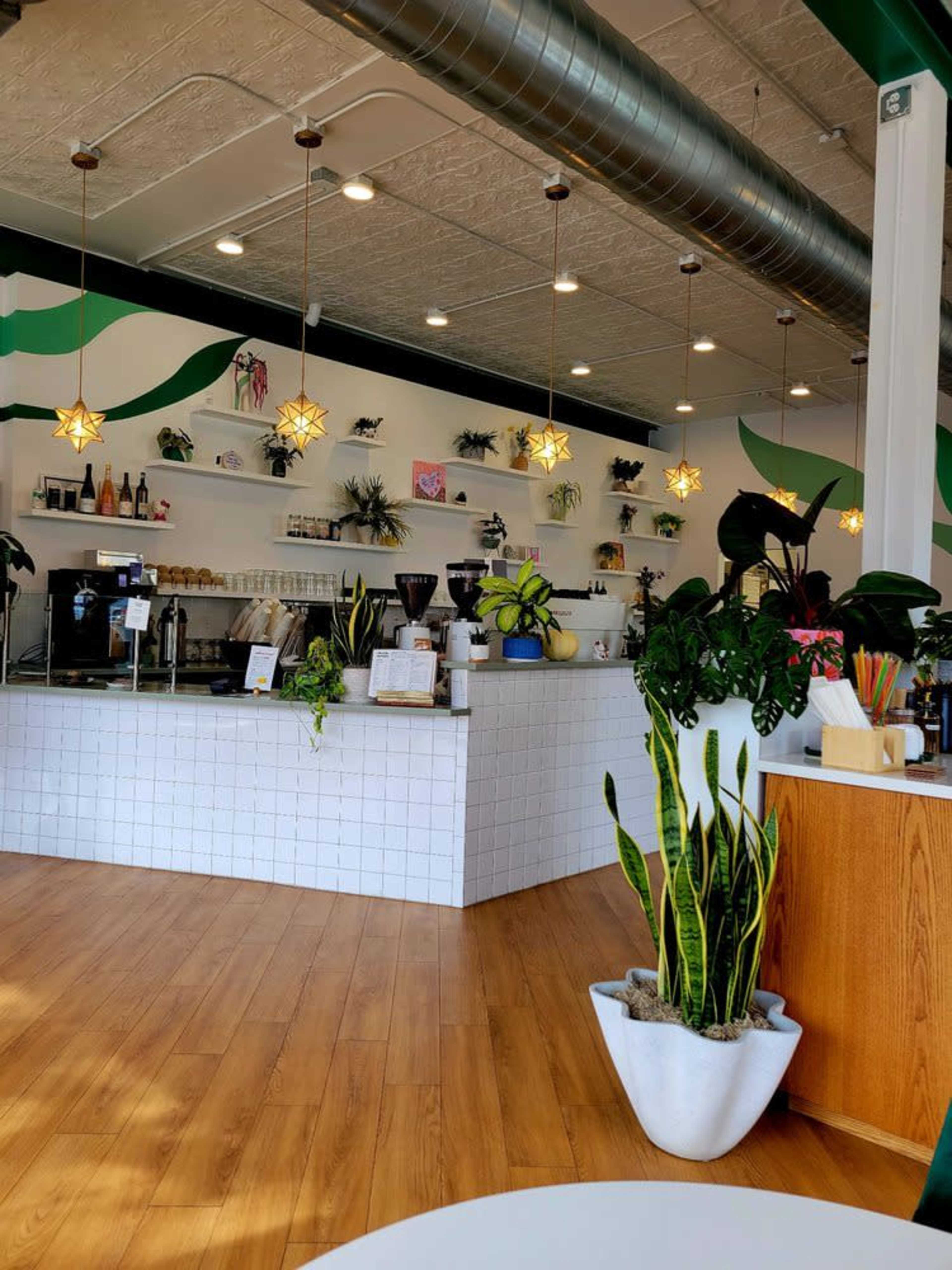 The image shows a modern coffee shop interior with wooden flooring, a white tiled counter adorned with plants, and softly glowing pendant lights overhead.