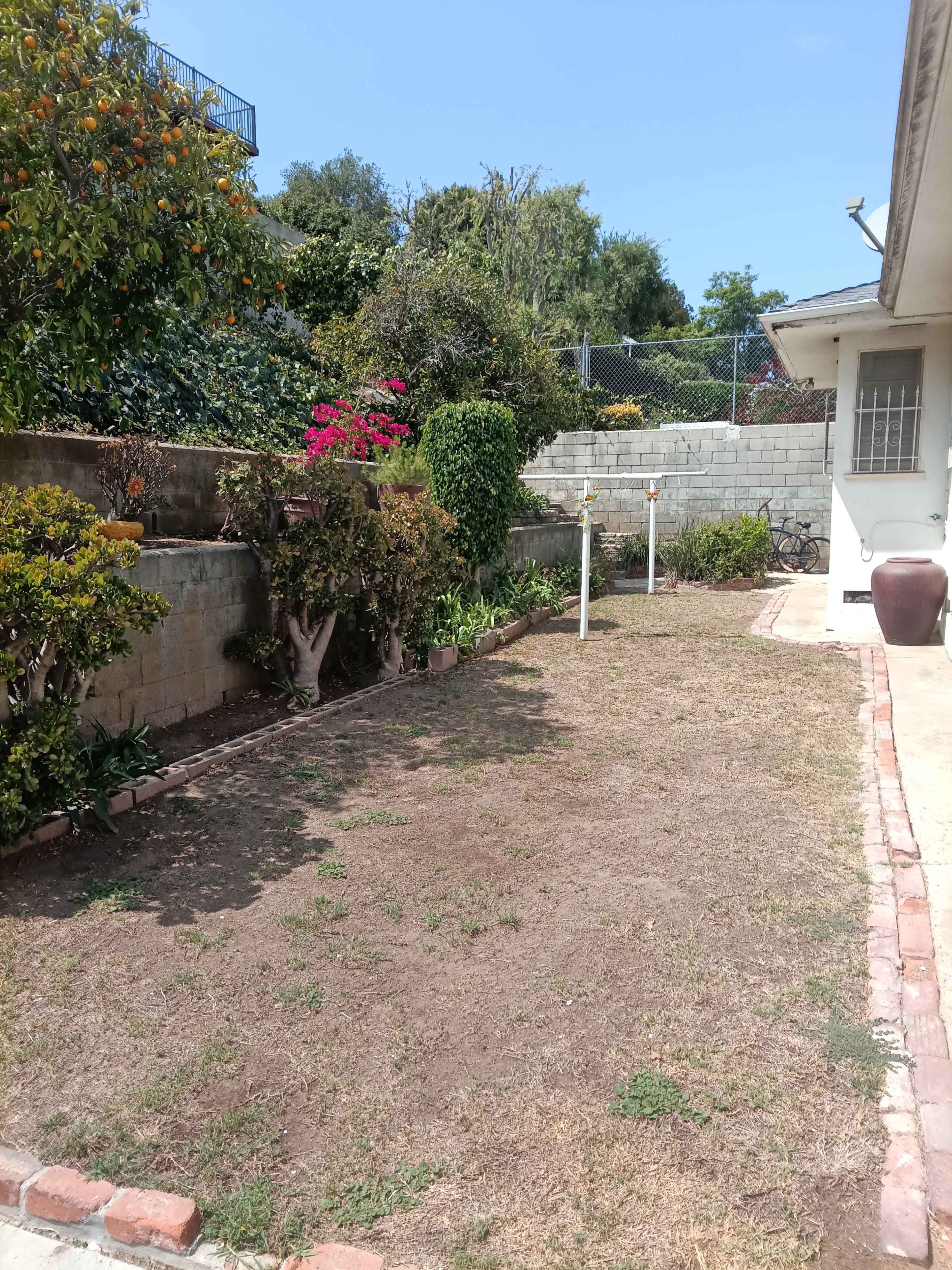 The image shows a dry, grassy backyard bordered by low shrubs, with a clothesline and a stone wall in the background.
