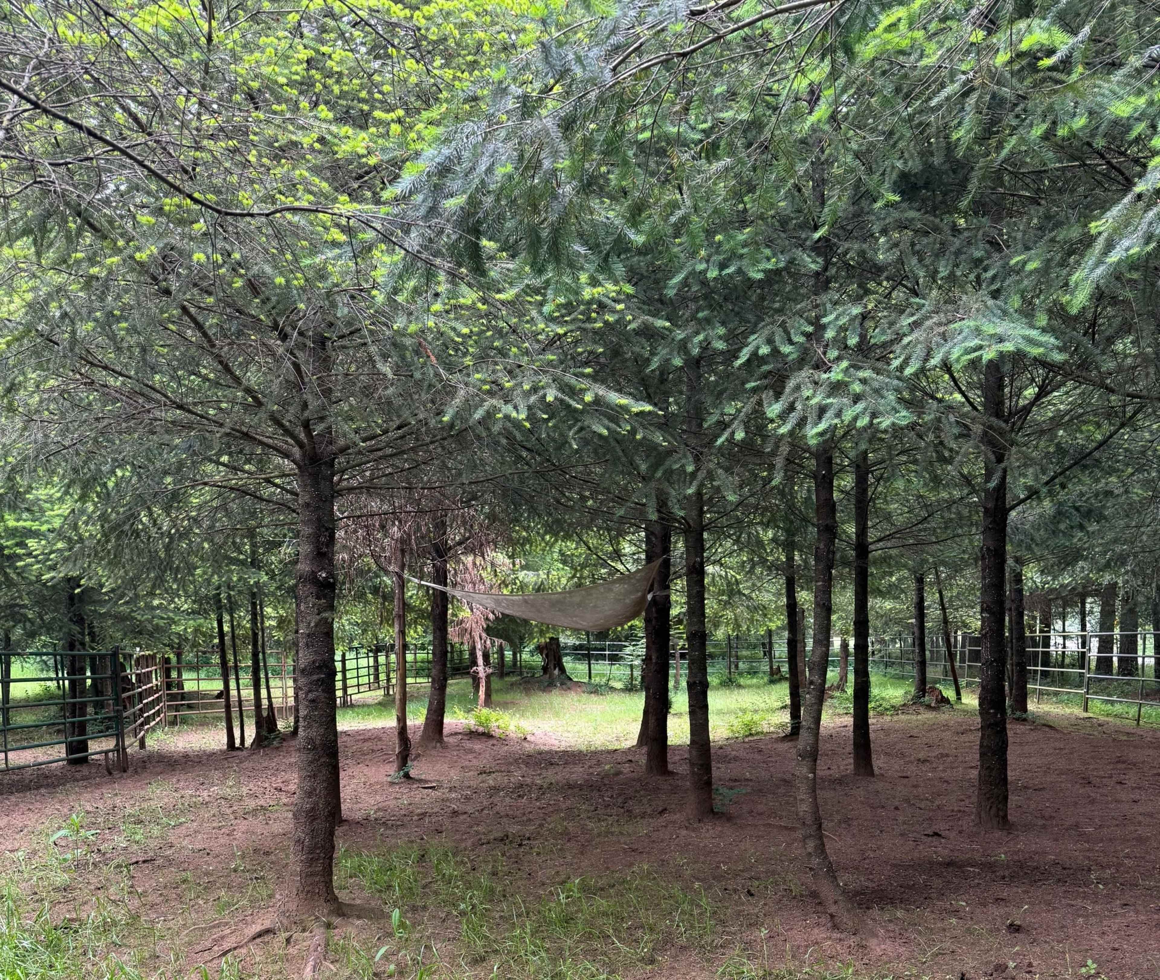 Ground-Level Office or Creative Space Image in , Beavercreek, OR