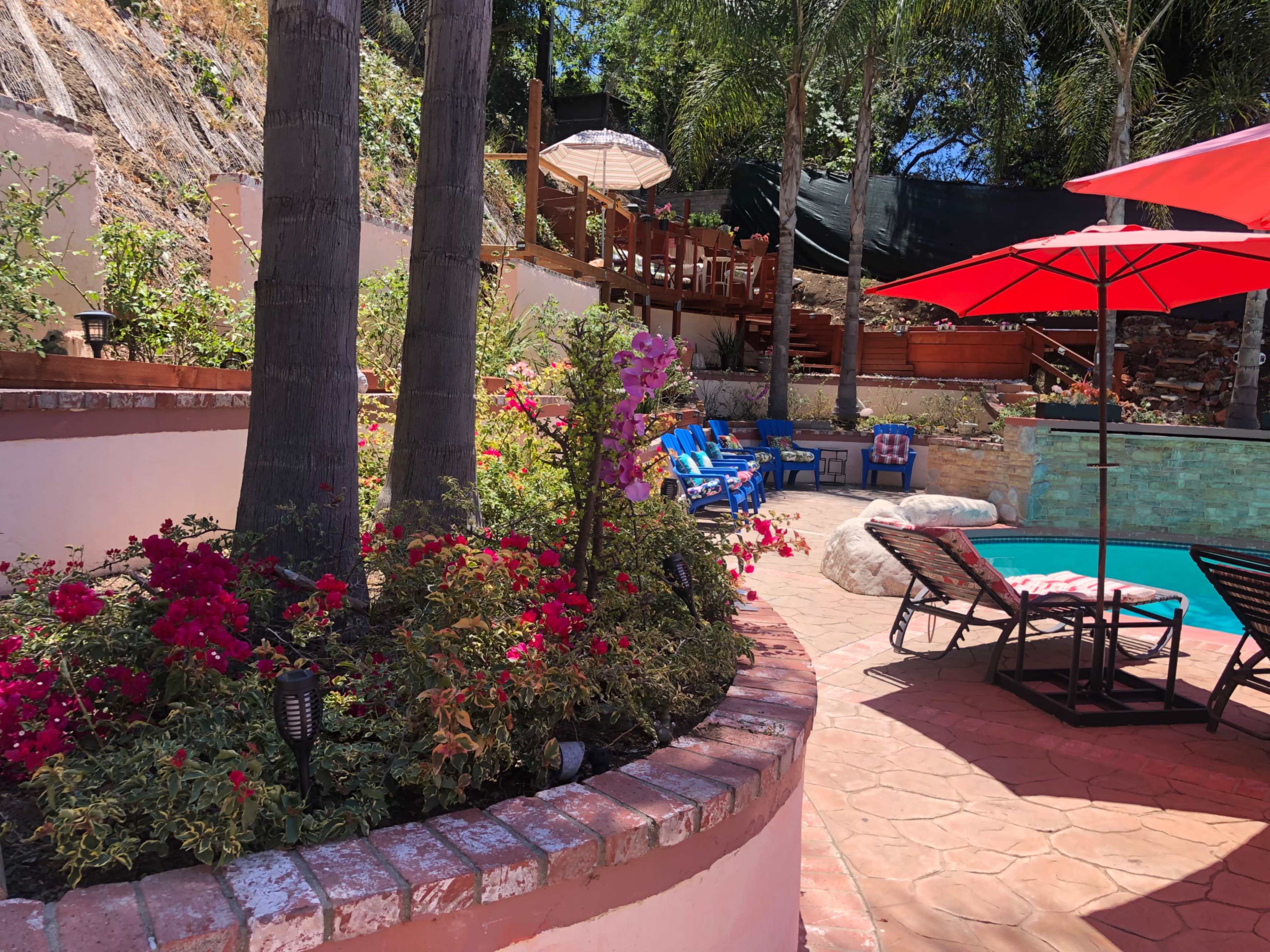 A pool area surrounded by flowering plants, palm trees, lounge chairs, and an umbrella.