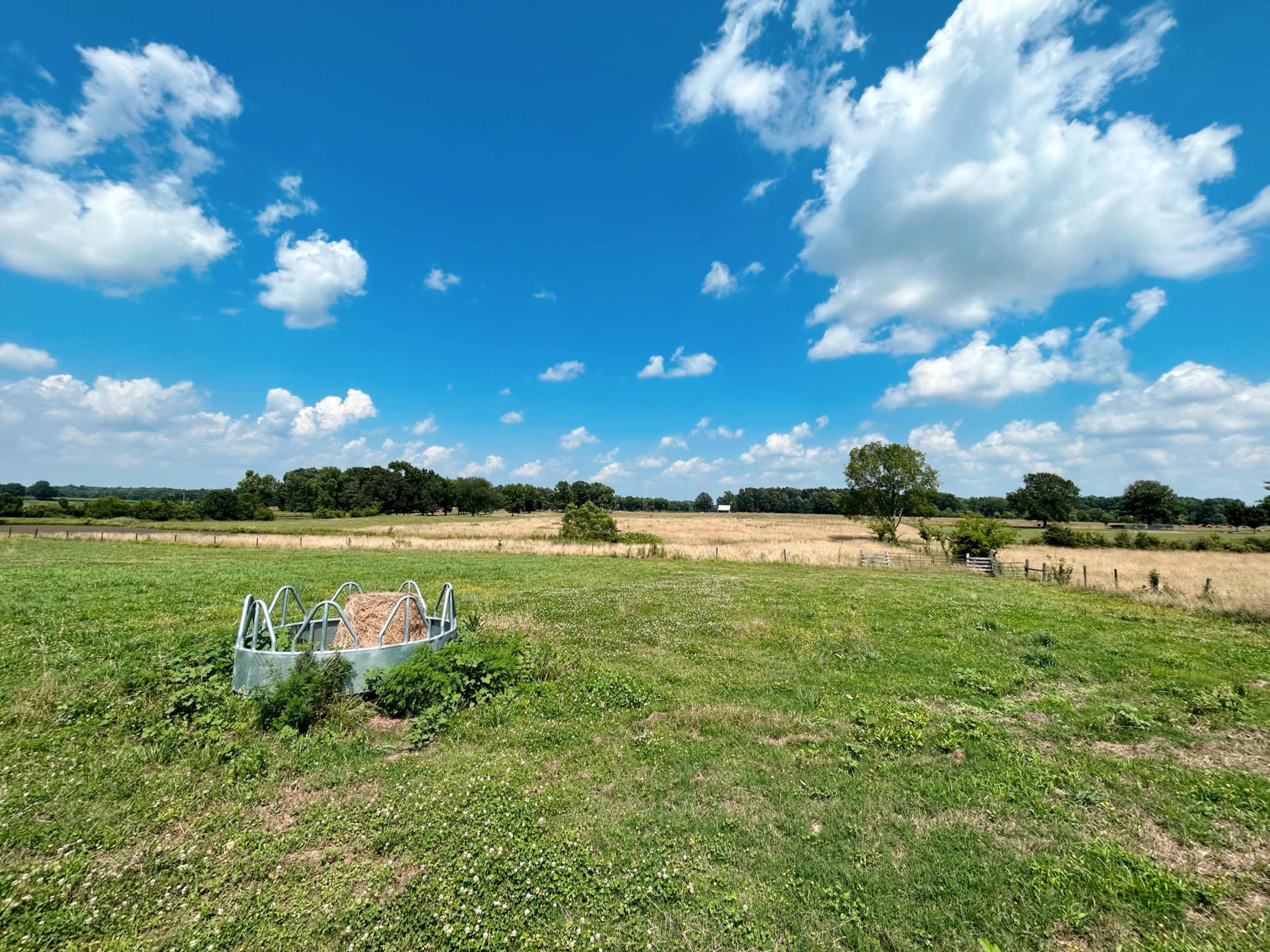 A metal hay feeder is positioned in a grassy field under a blue sky with scattered clouds.