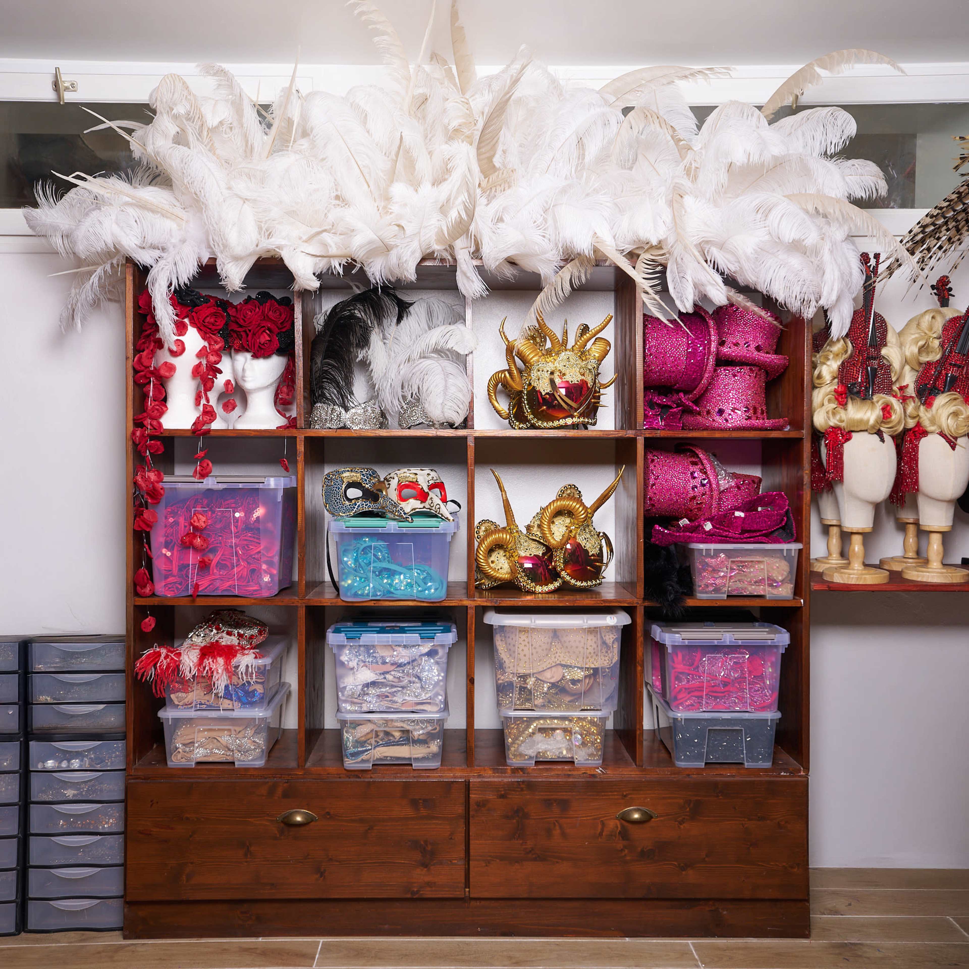 A wooden shelving unit displays colorful costumes and accessories, including feathered headpieces, masks, and various decorative items stored in clear plastic boxes.