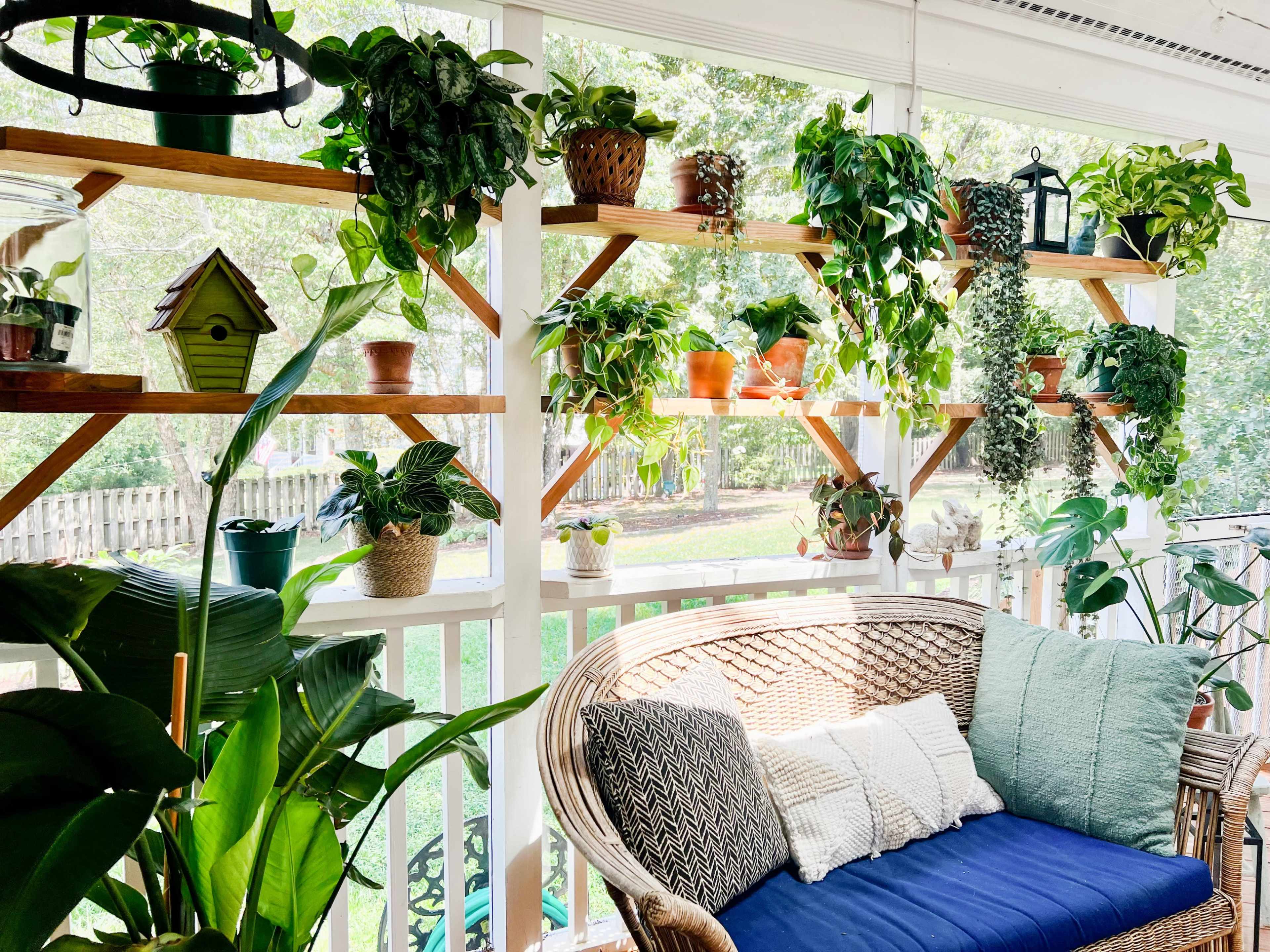 A cozy sunroom features a comfortable seating area surrounded by shelves filled with various potted plants.