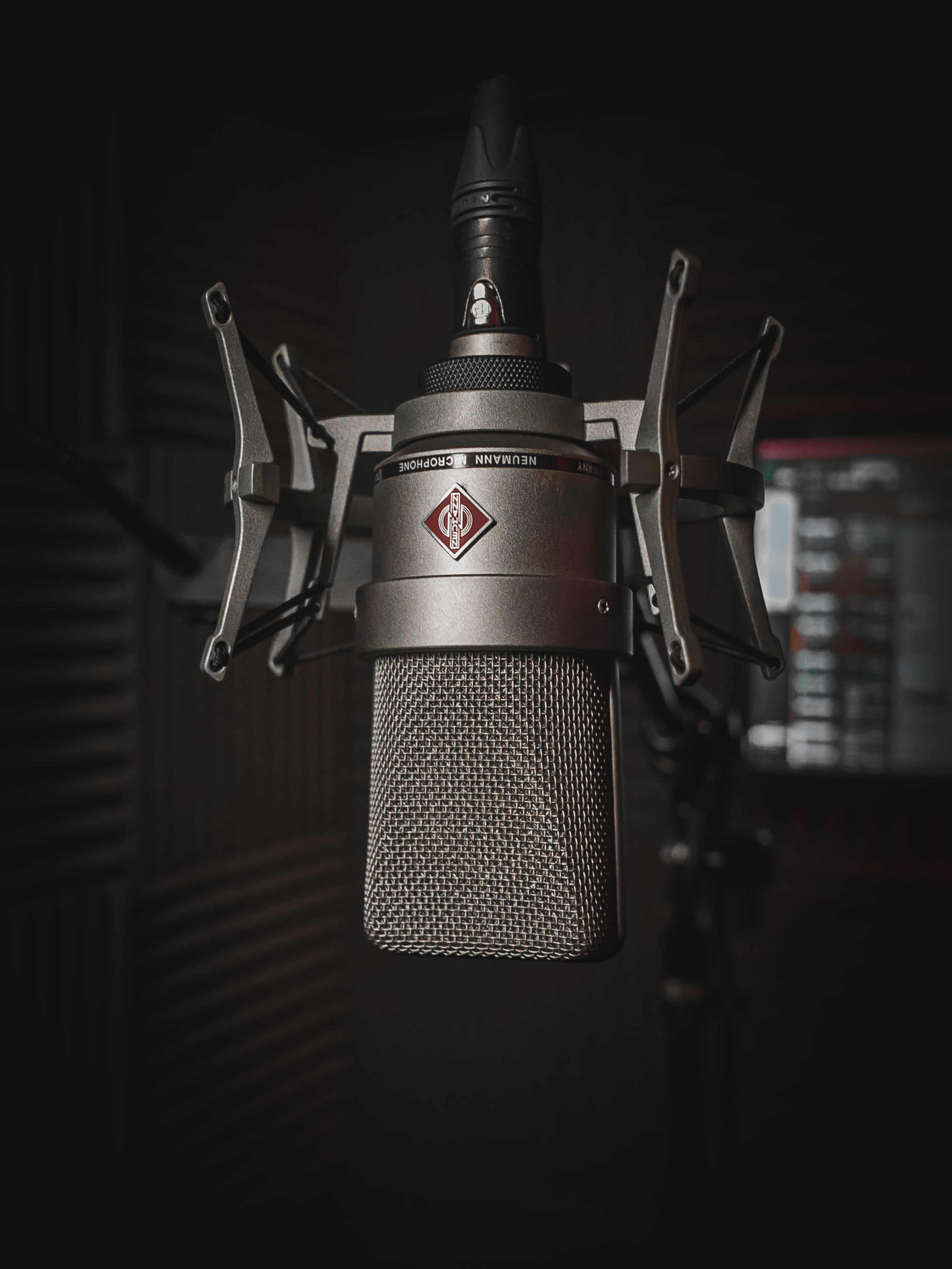 A close-up of a professional studio microphone mounted on a shock mount in a soundproof booth.
