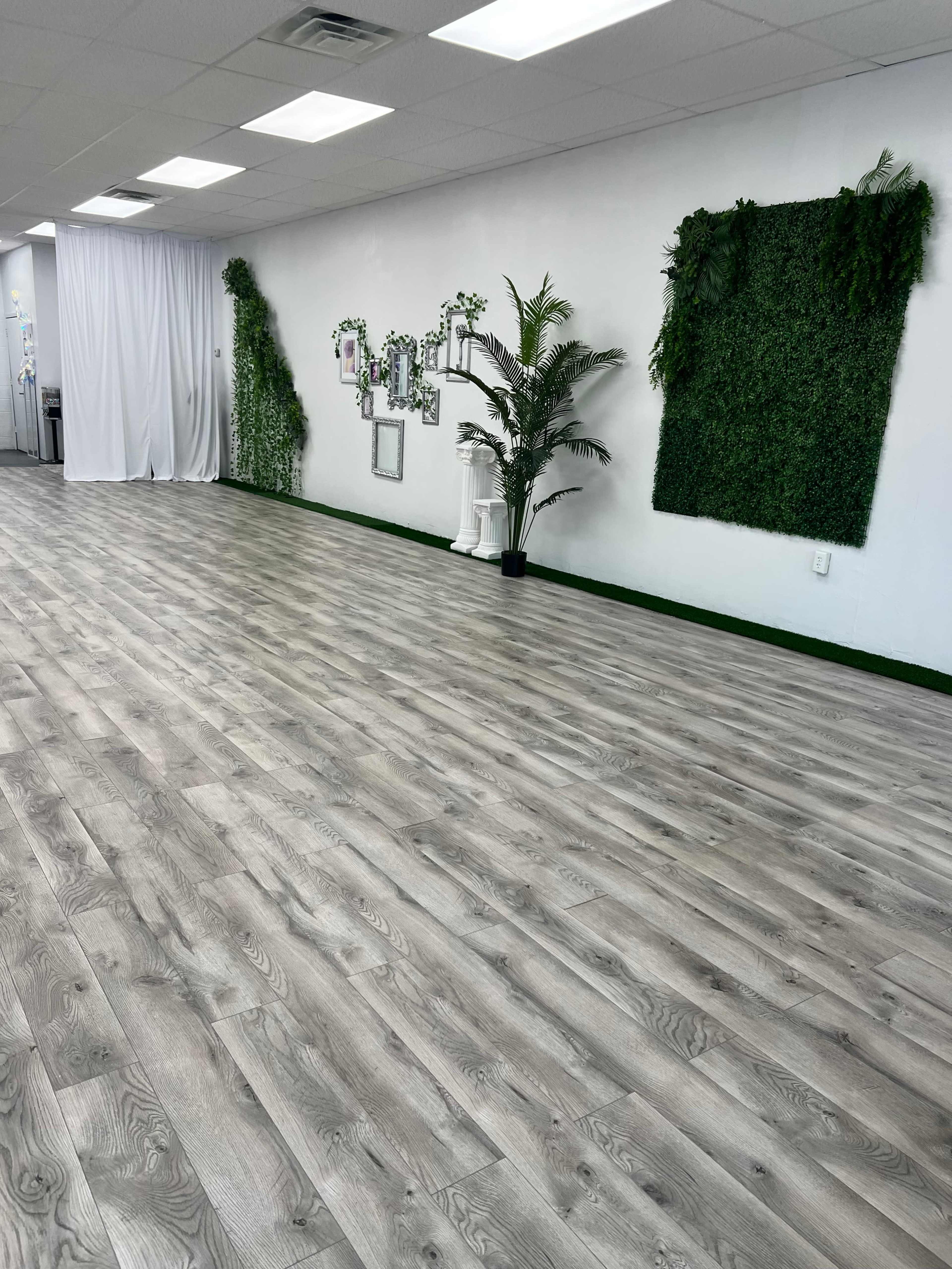 A spacious interior with light wood flooring, green vertical accents on the walls, and decorative plants arranged along one side.