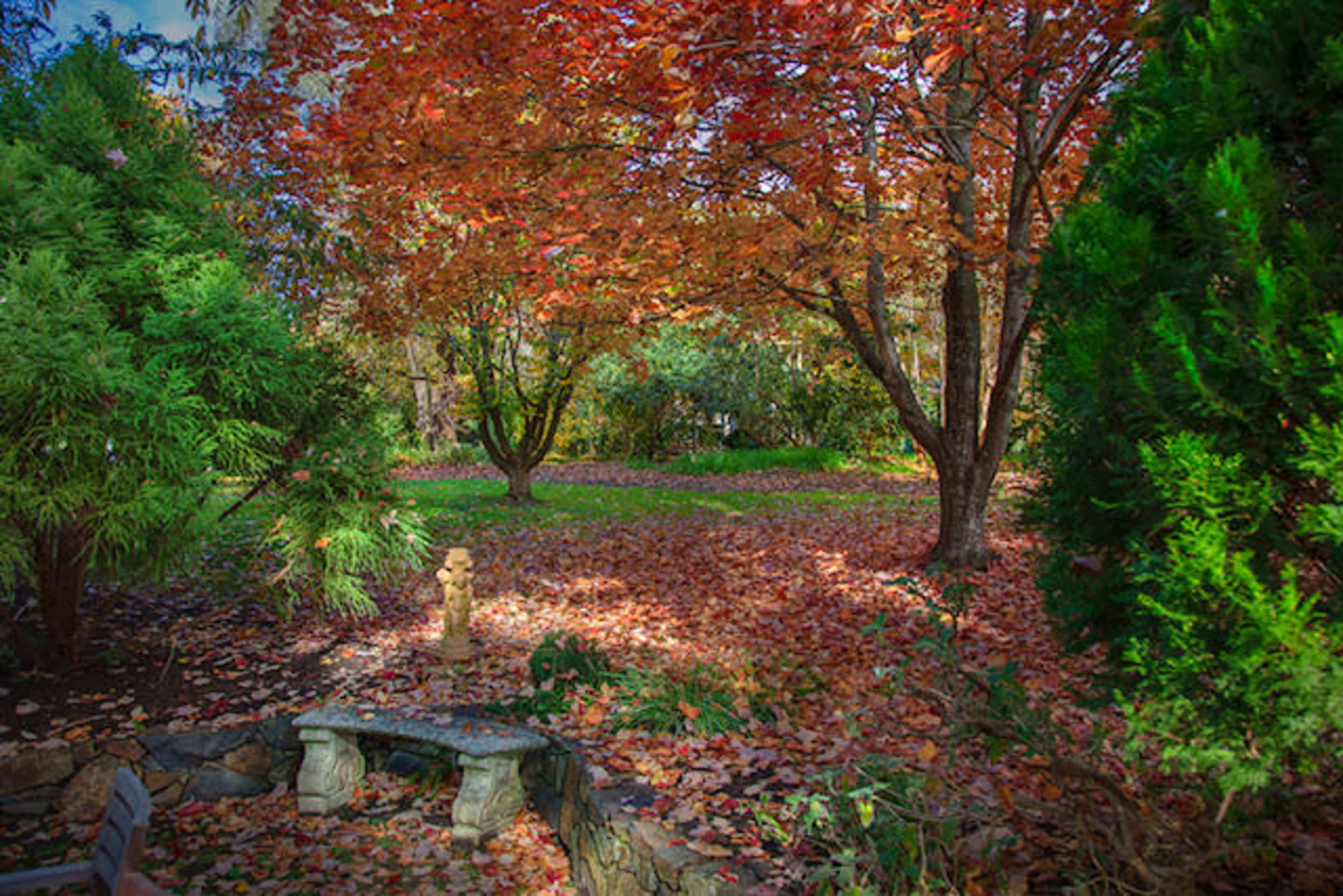 The scene features a garden with vibrant autumn leaves carpeting the ground beneath trees.