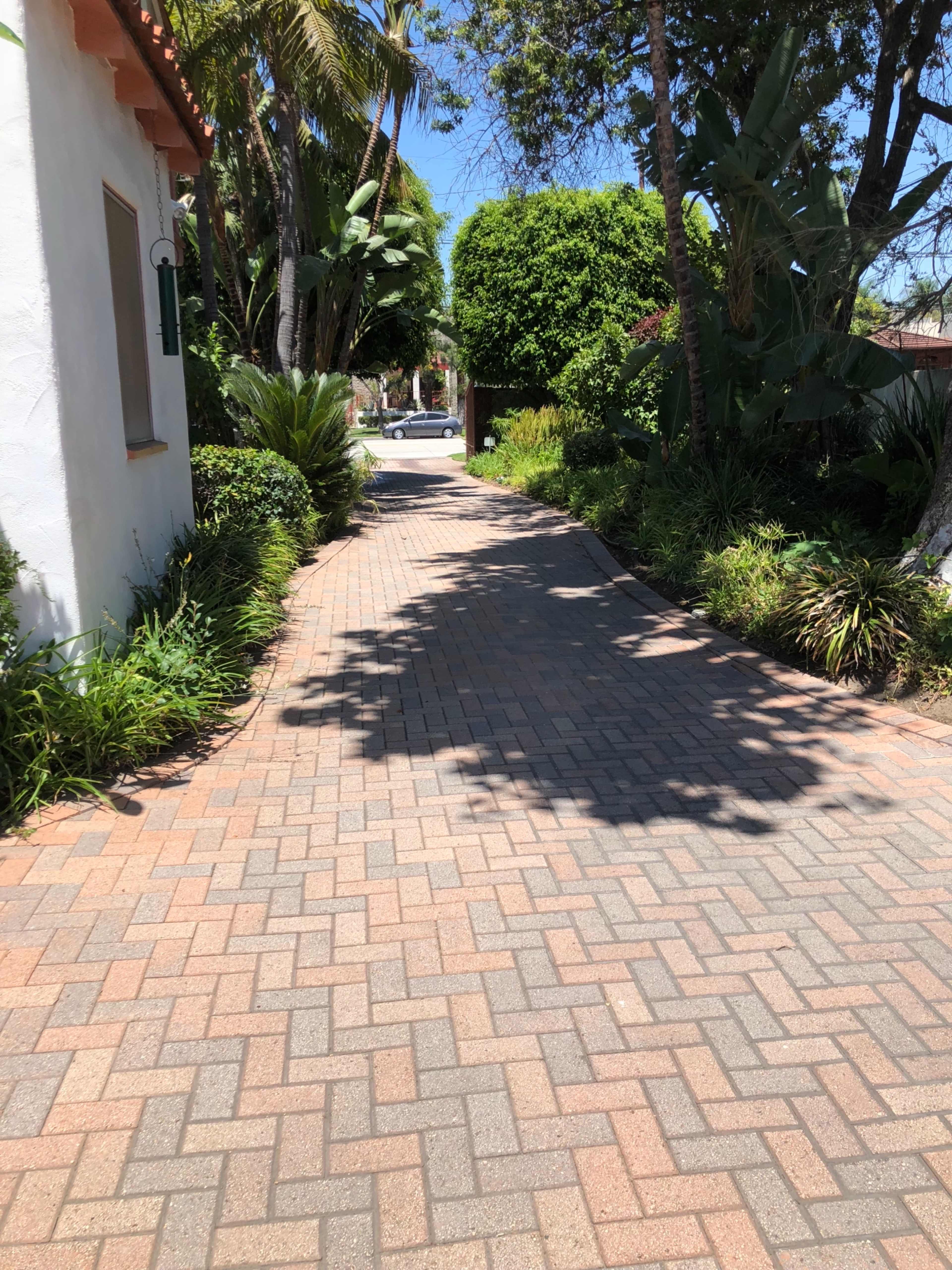 A paved pathway lined with greenery leads toward a small white structure in the distance.