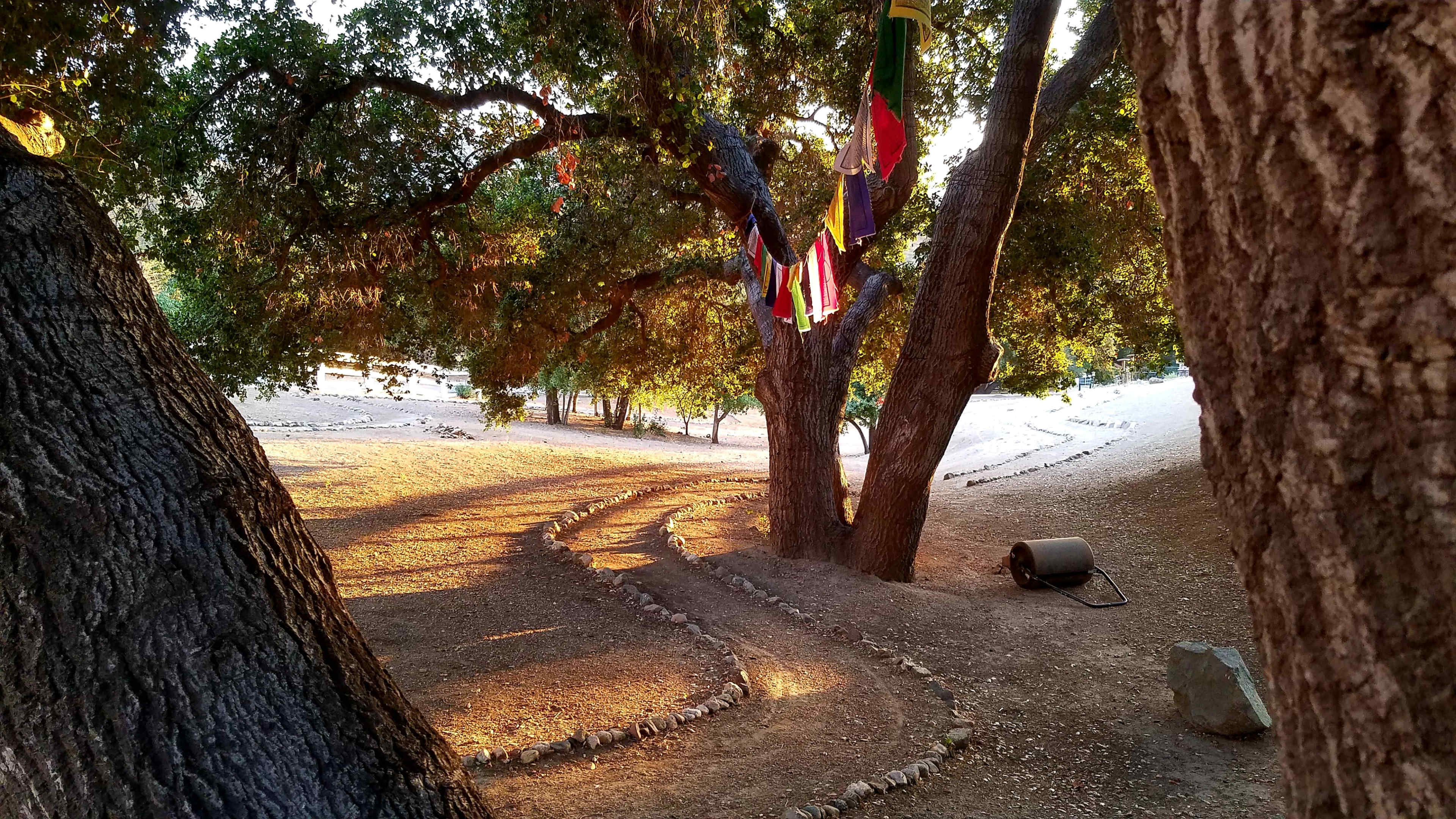 The image shows a path winding through a wooded area, bordered by trees and marked with stones, with colorful flags hanging from the branches.