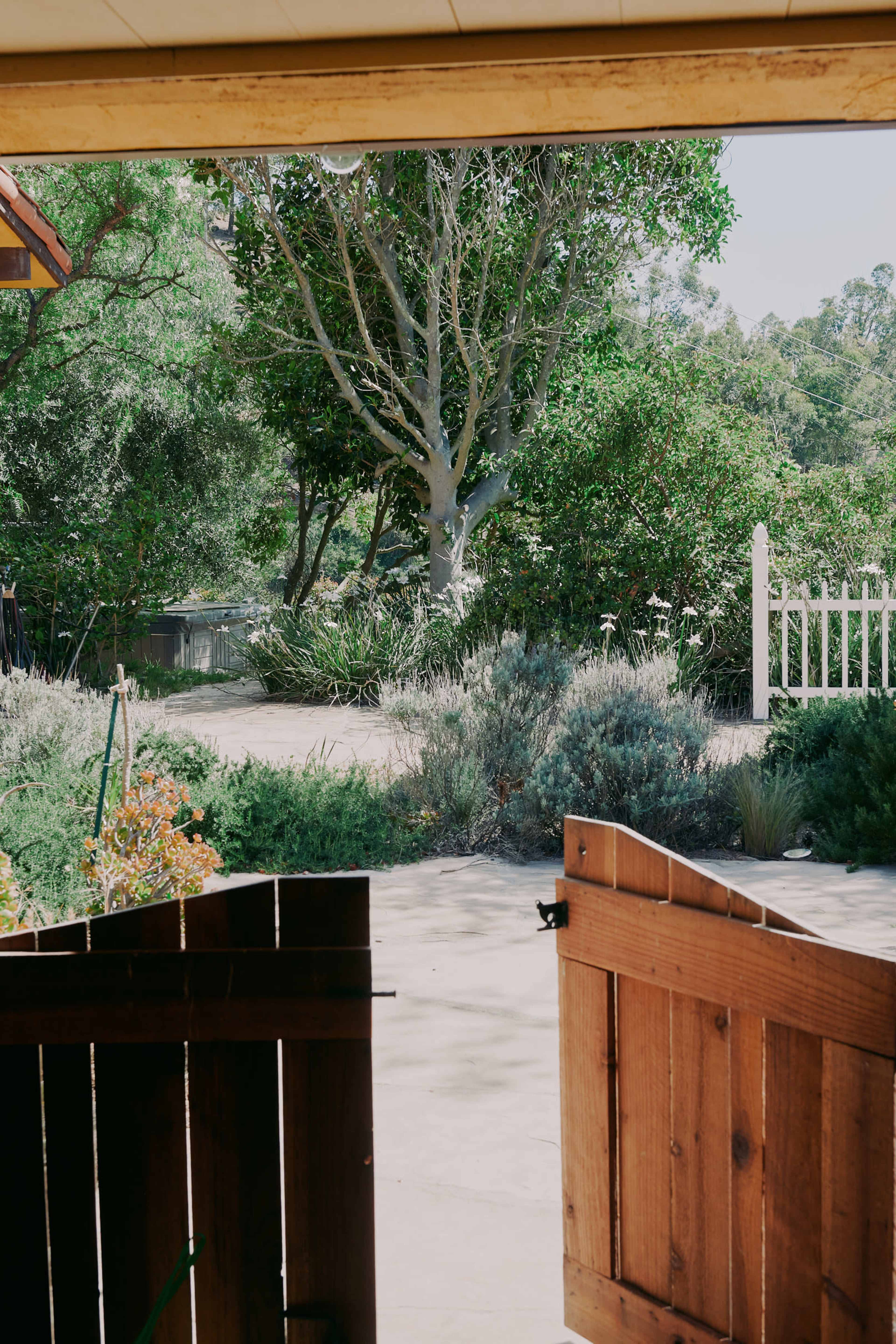 A wooden gate stands ajar, revealing a landscaped garden with trees and shrubs under bright sunlight.