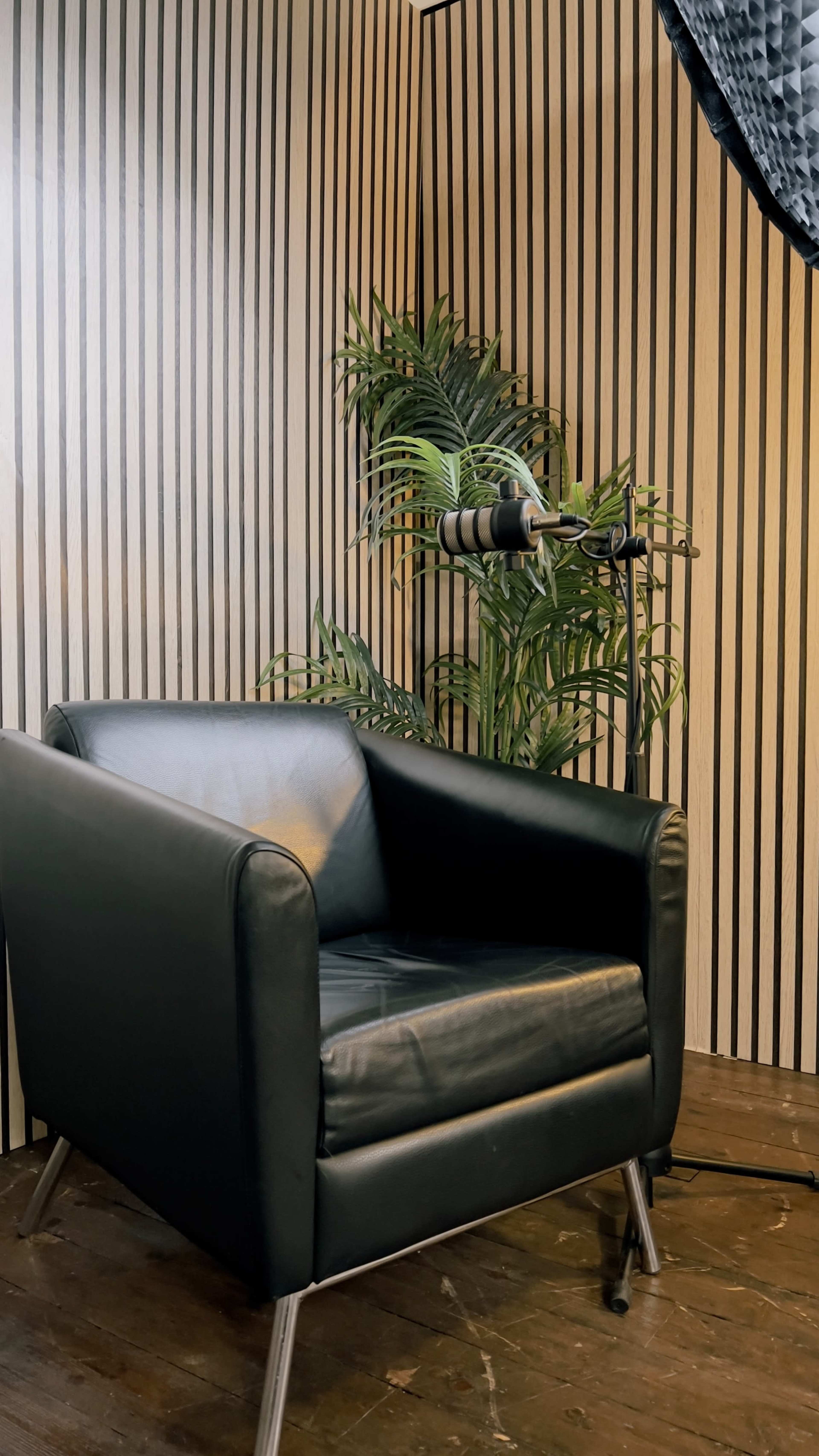The image shows a black leather armchair positioned beside a microphone on a stand, with striped walls and a potted plant in the background.