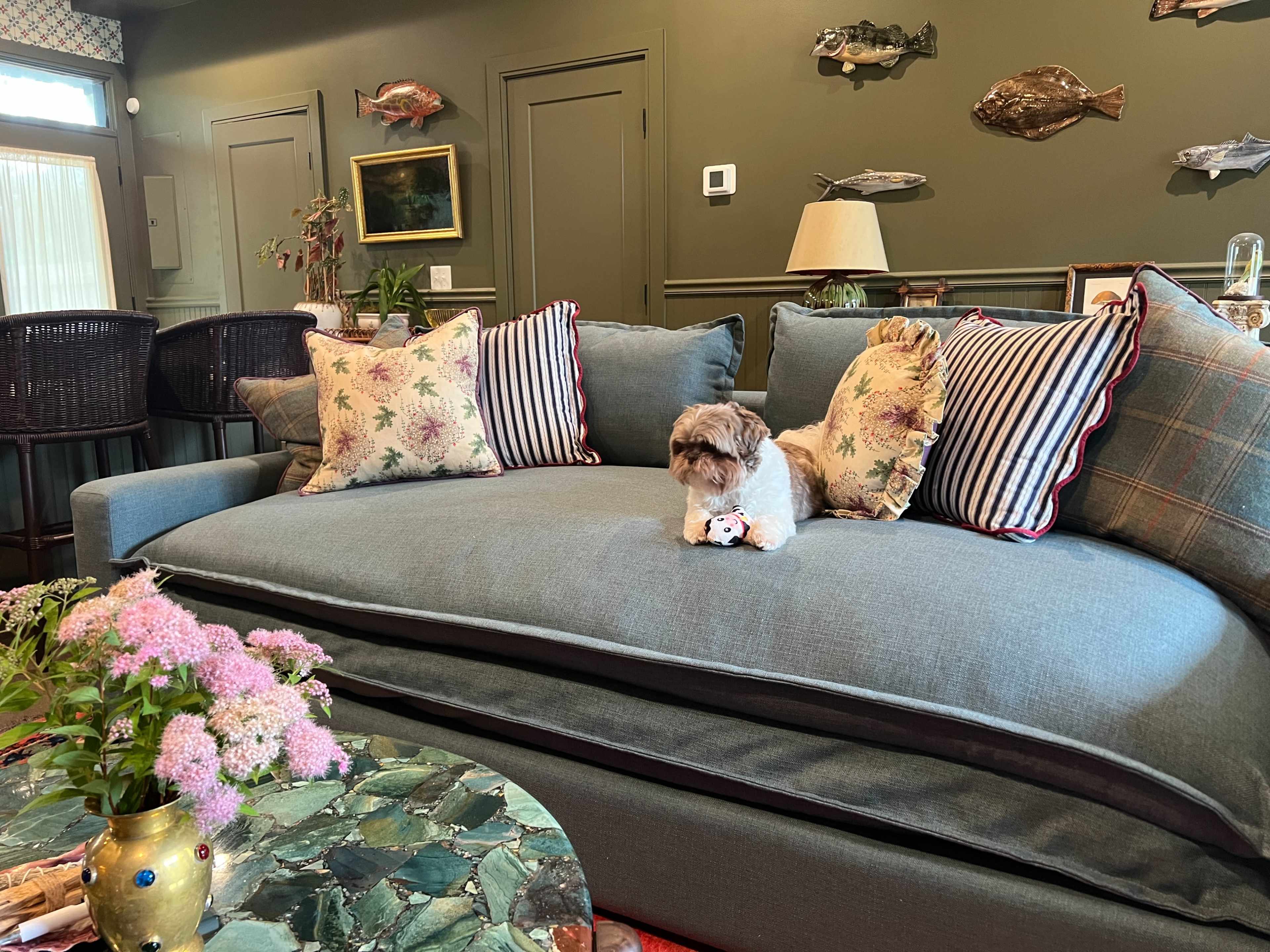 A small dog sits on a large, upholstered sofa in a room decorated with fishing-themed artwork and plants.