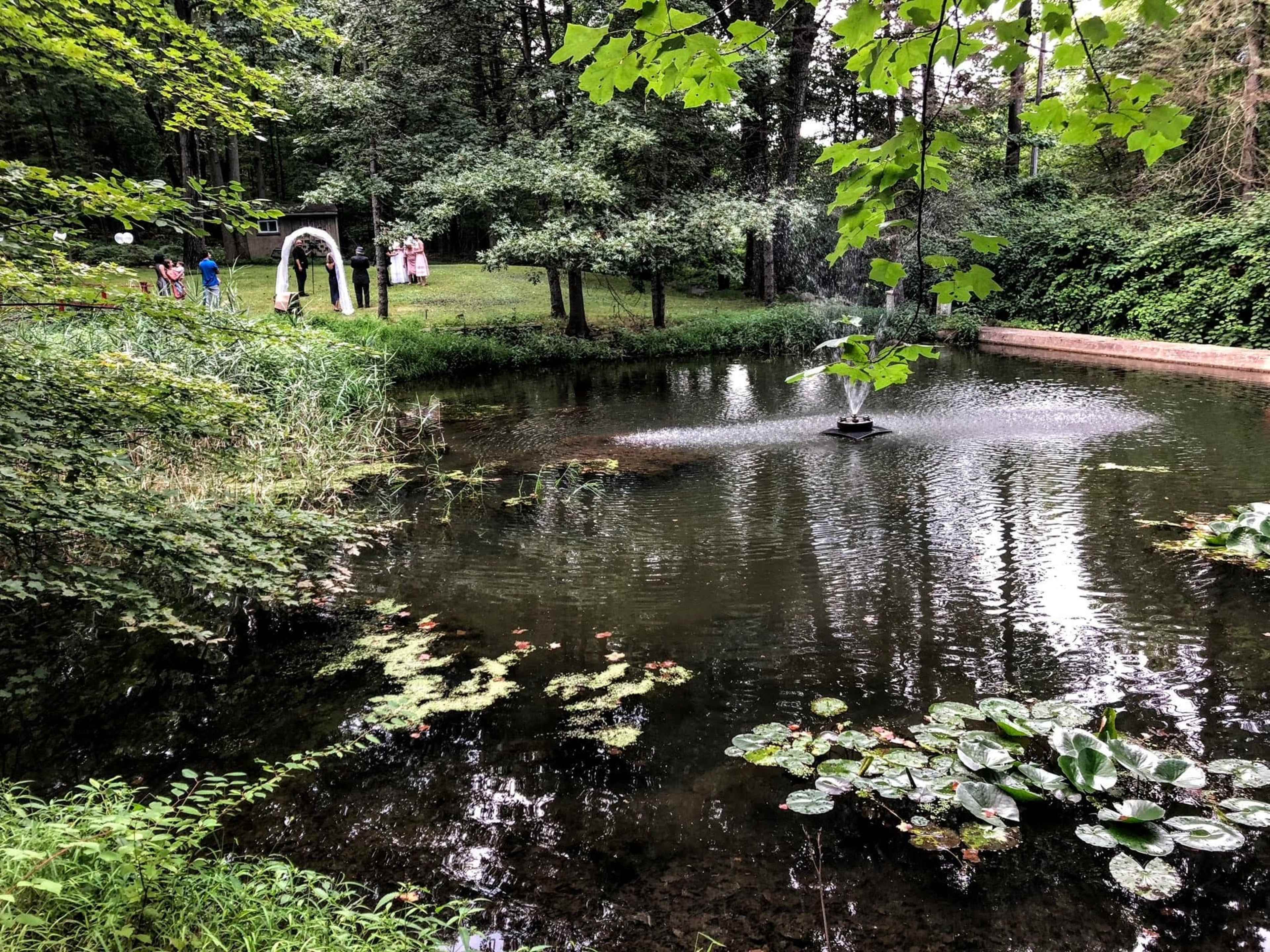 A serene pond surrounded by trees features a fountain in the center and lily pads floating on the surface.