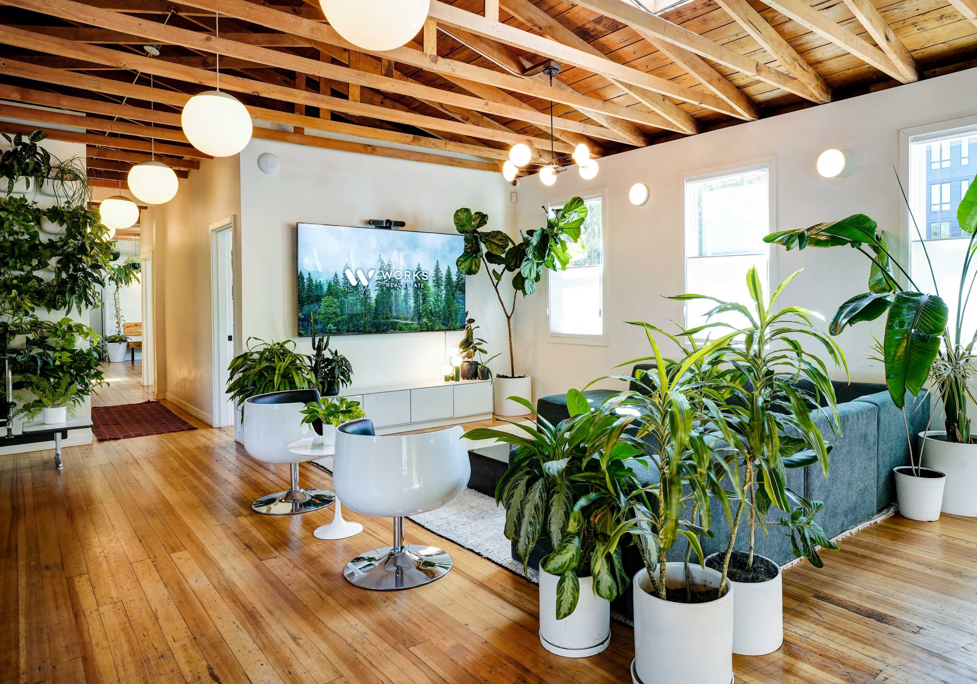 The image shows a modern, open living space with a gray sofa, LED television mounted on the wall, and various indoor plants arranged in white pots.
