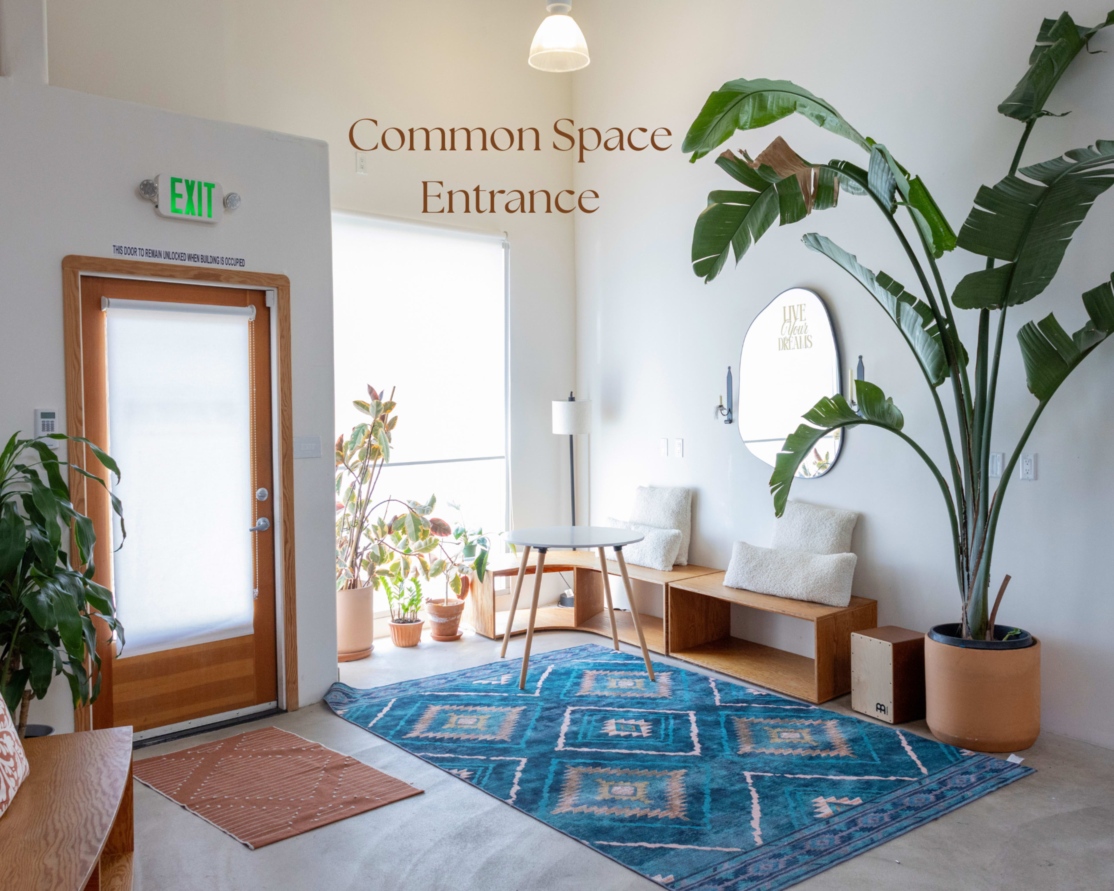 The image shows a well-lit common space entrance featuring a circular mirror, a table, benches, large plants, and a decorative rug.