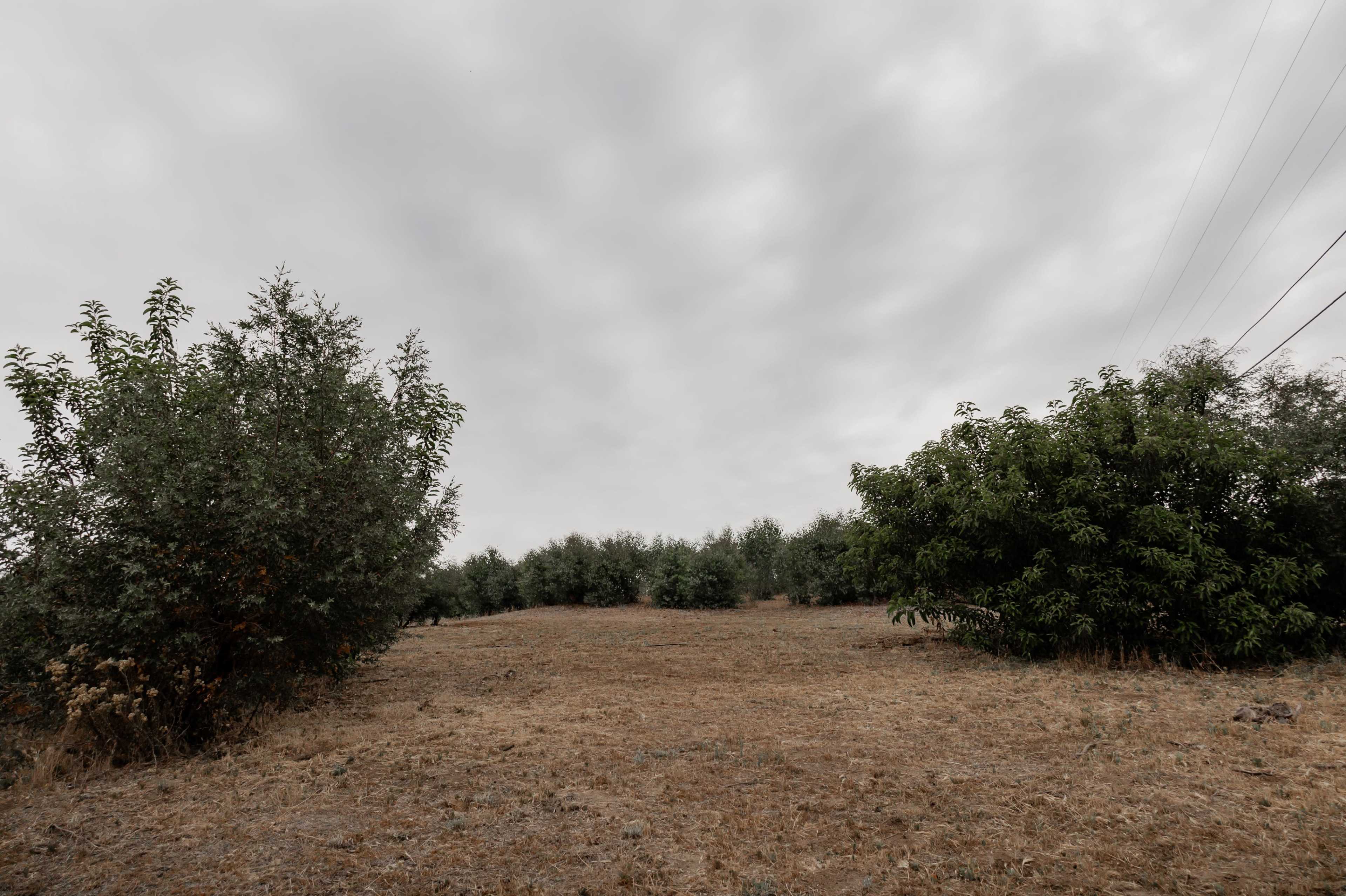 The image shows a dry, open field with sparse vegetation and a cloudy sky overhead.