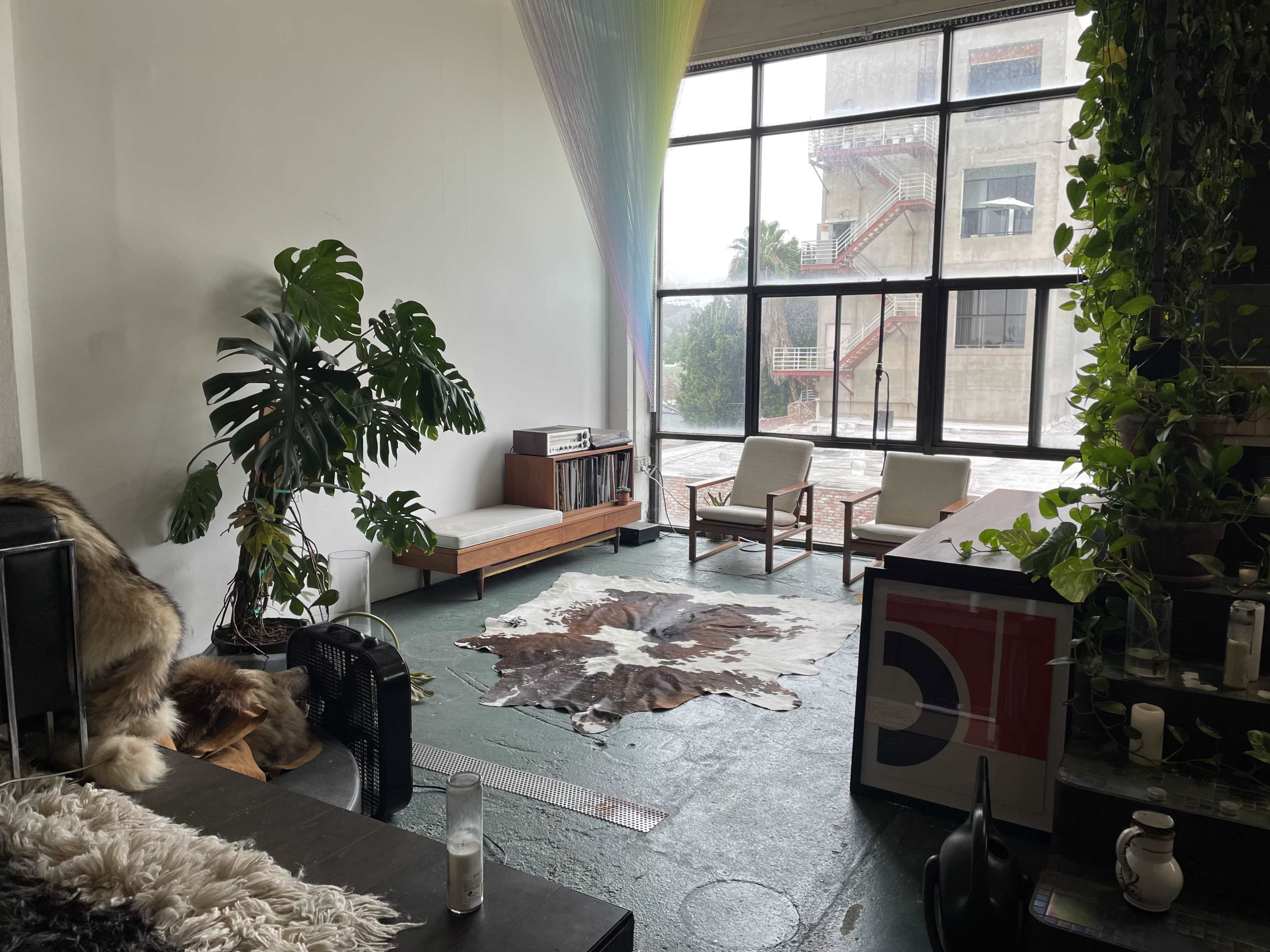 An indoor space with a large window, a cowhide rug on the floor, plants, and minimalist furniture, including two chairs and a bookshelf.