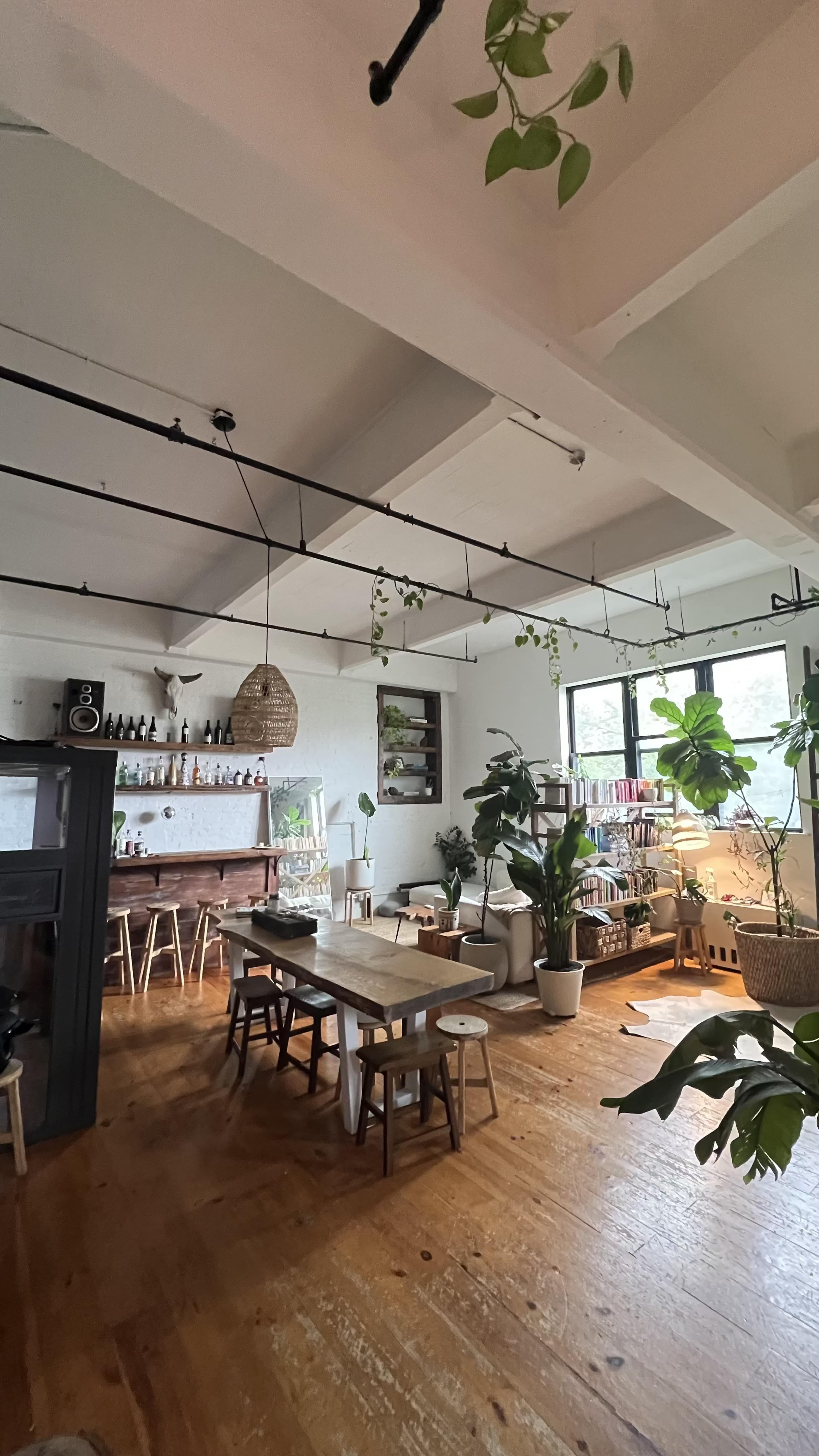 The image shows a well-lit, minimalist café interior featuring wooden furniture, plants, and a bar area stocked with beverages.