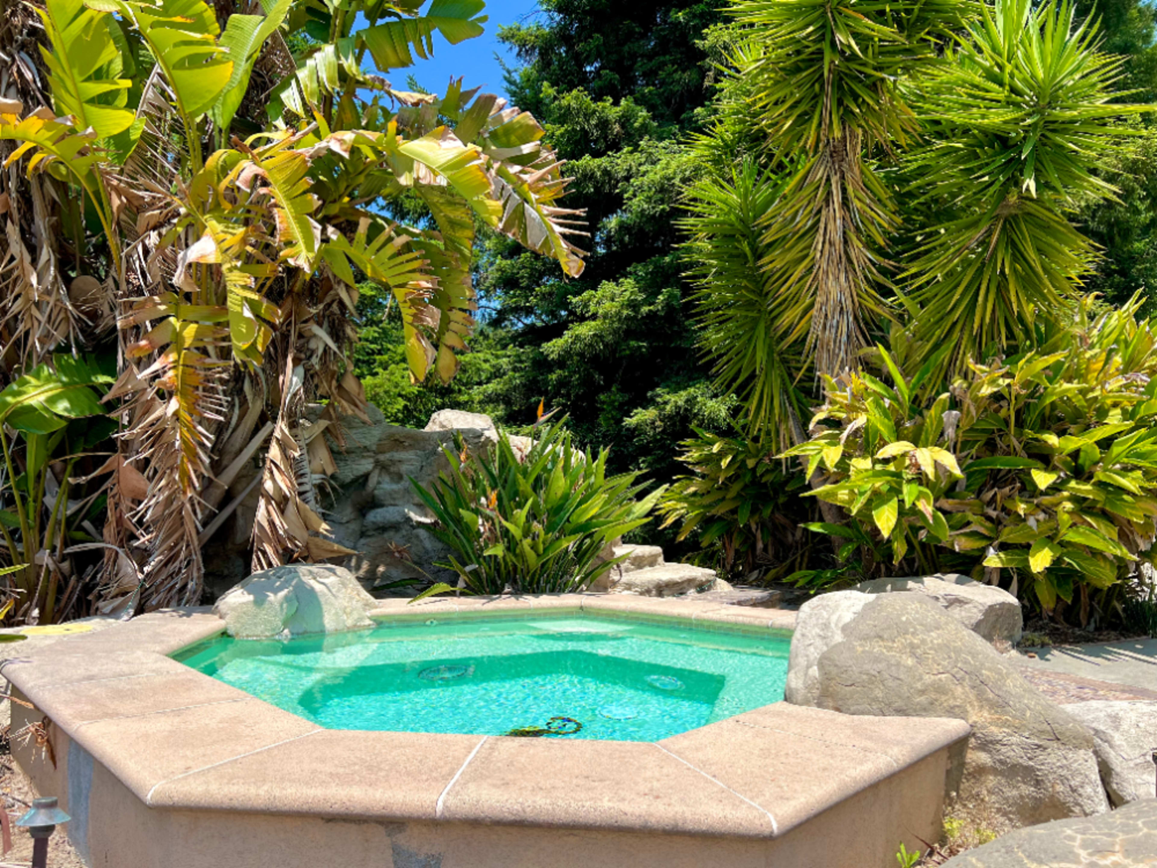 デュアルランド　Tropical 、Bayou セット デュアルランド Tropical 、Bayou セット 2025年最新】mtg bayouの人気