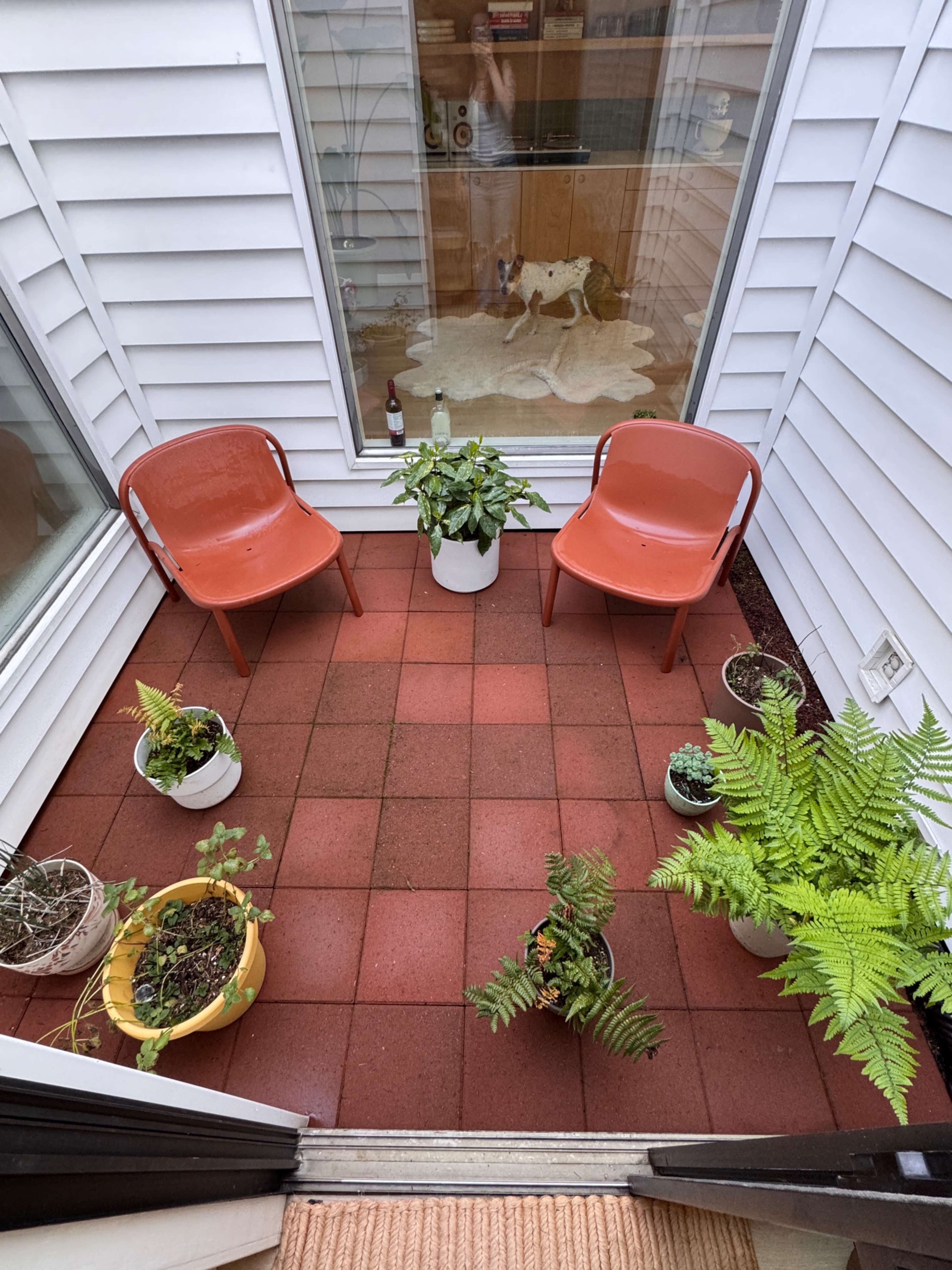 The image shows a small outdoor patio with two red chairs surrounded by various potted plants on a tiled floor.