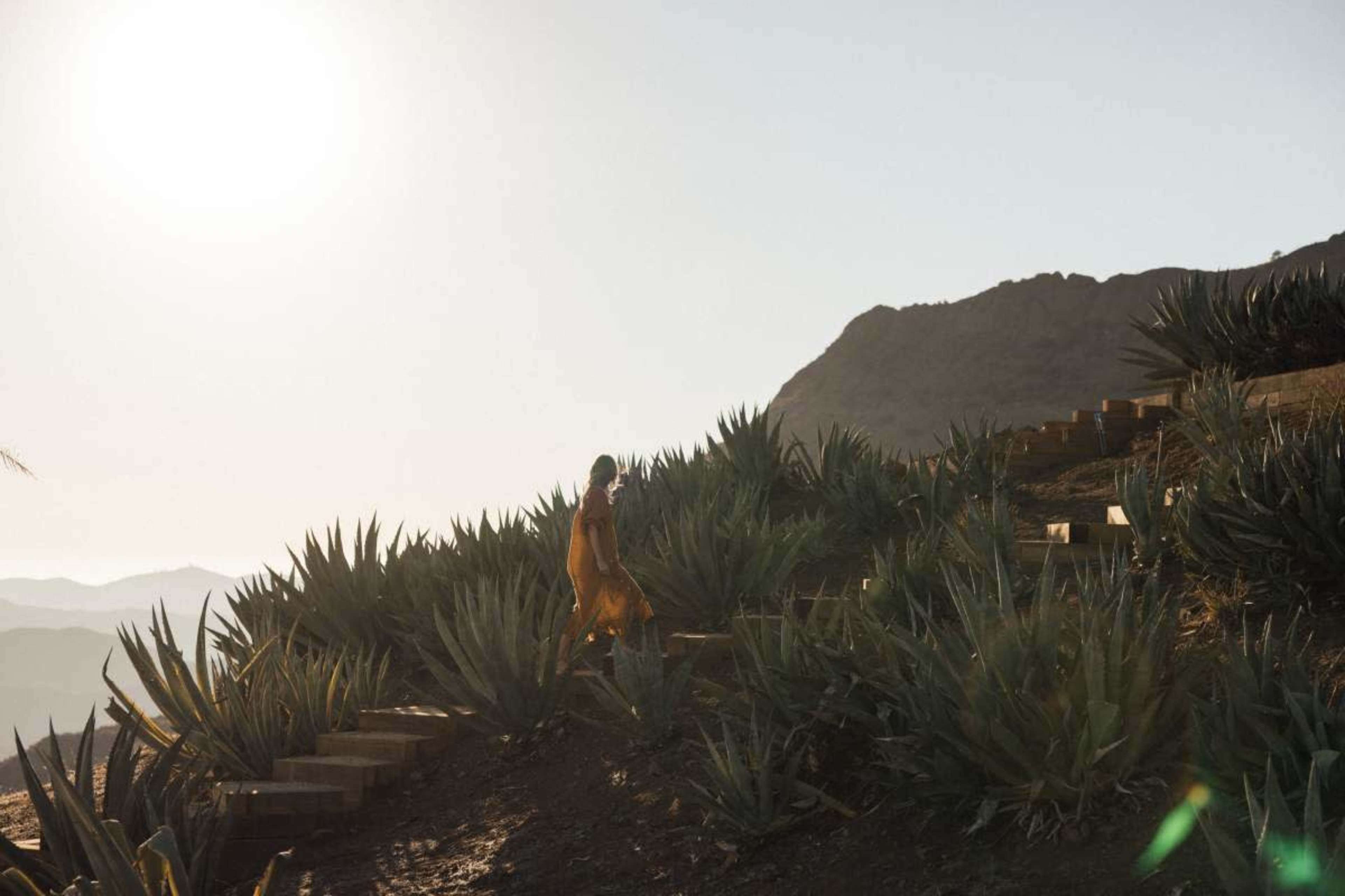 The Agave House Image in , Malibu, CA