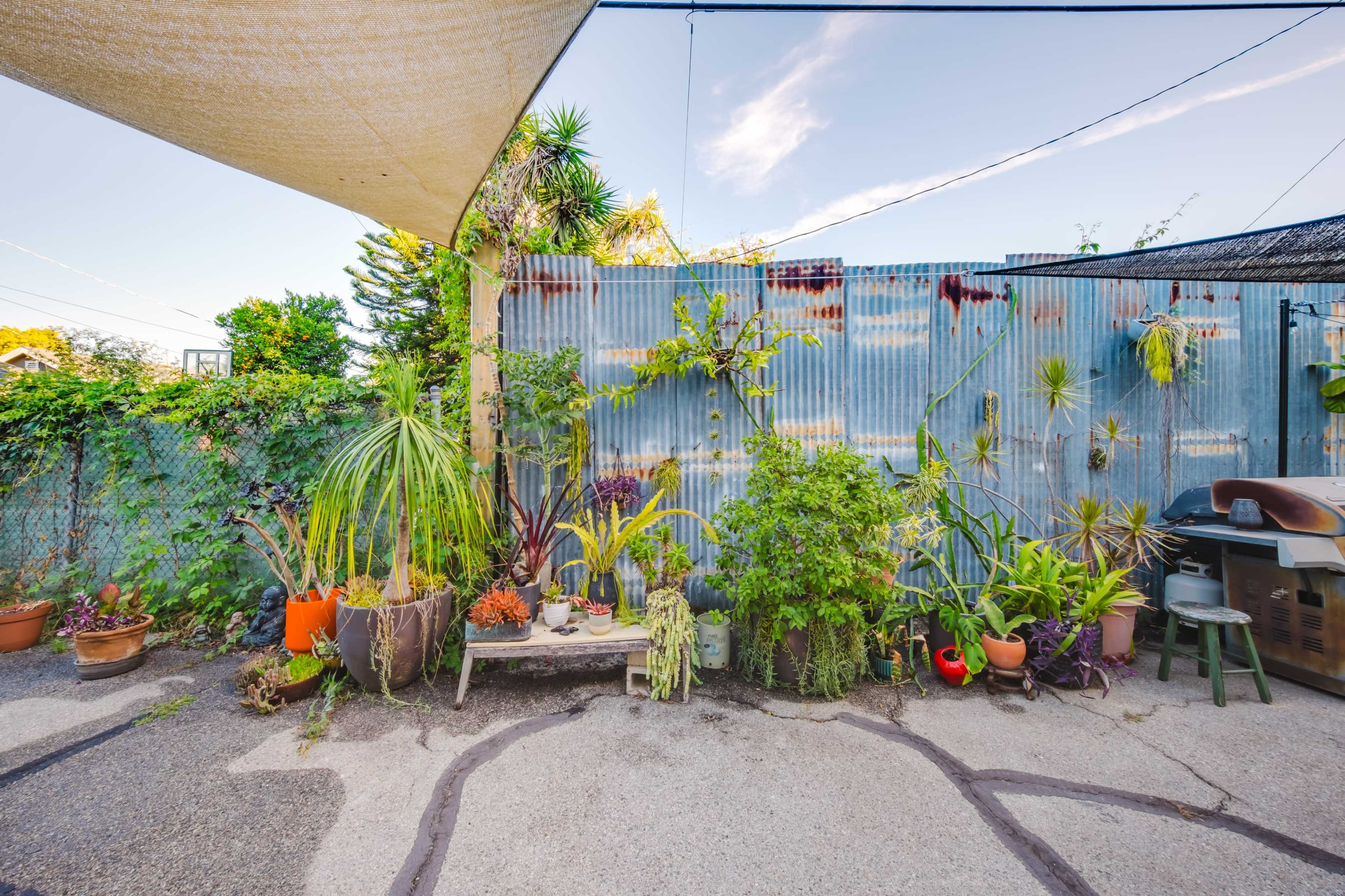 A variety of potted plants are arranged on a wooden bench in front of a corrugated metal wall in a garden setting.