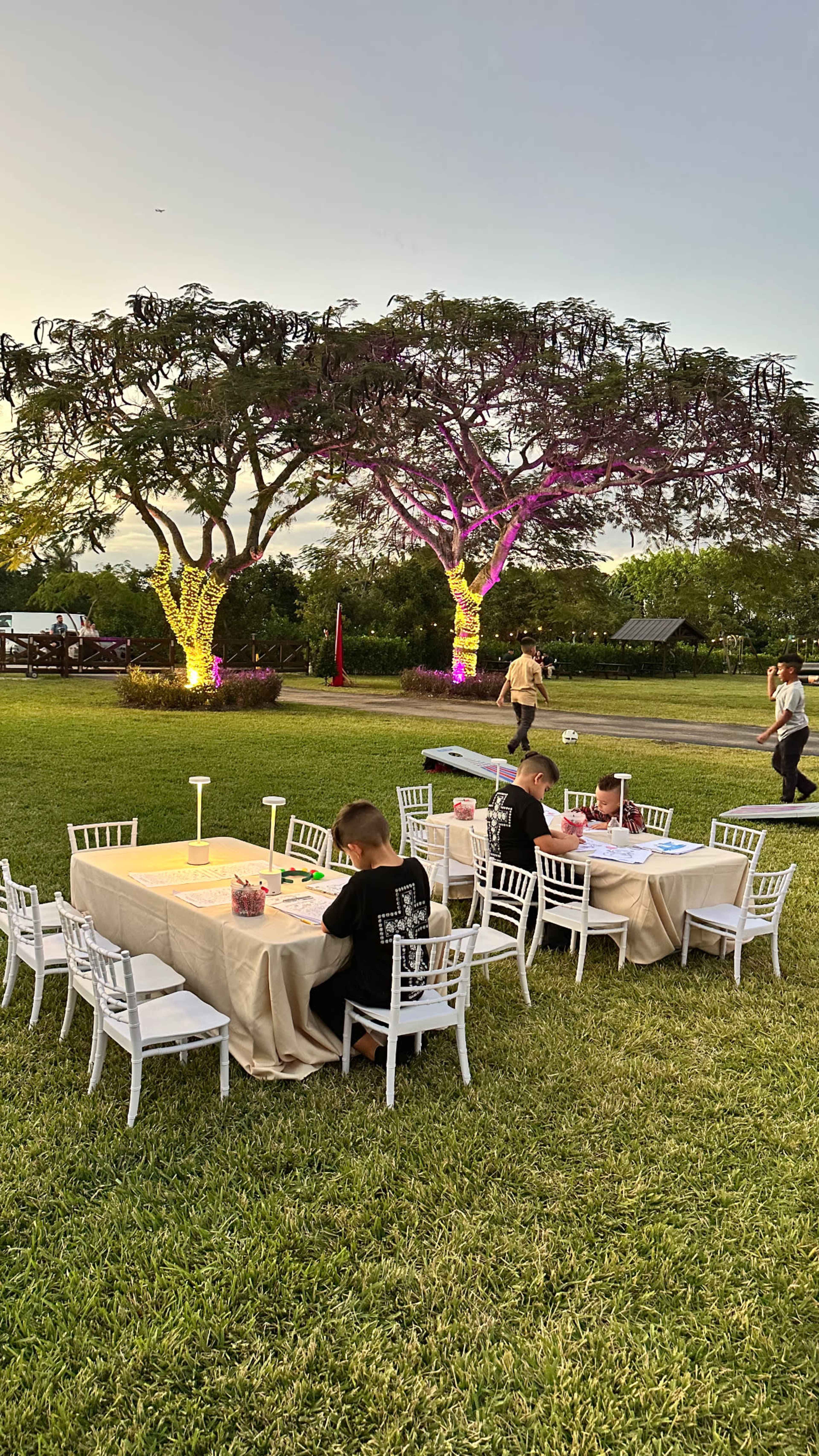 A long table set for dining is positioned on a grassy area, surrounded by illuminated trees as guests mingle nearby.