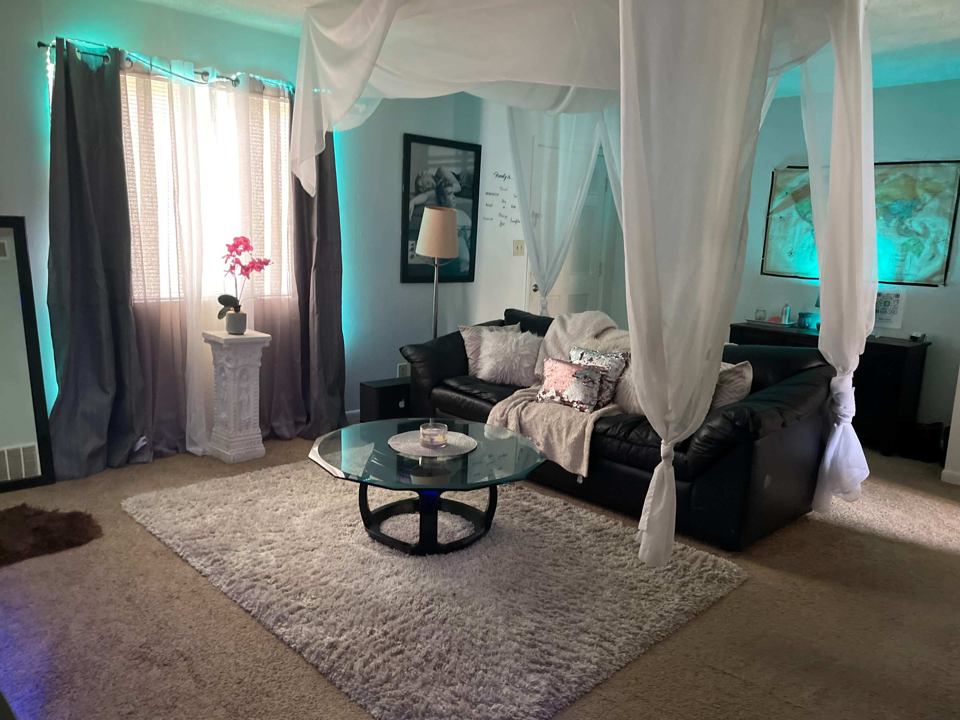 A well-lit living room features a black leather couch, glass coffee table, and decorative elements, including a potted plant and artwork on the walls.