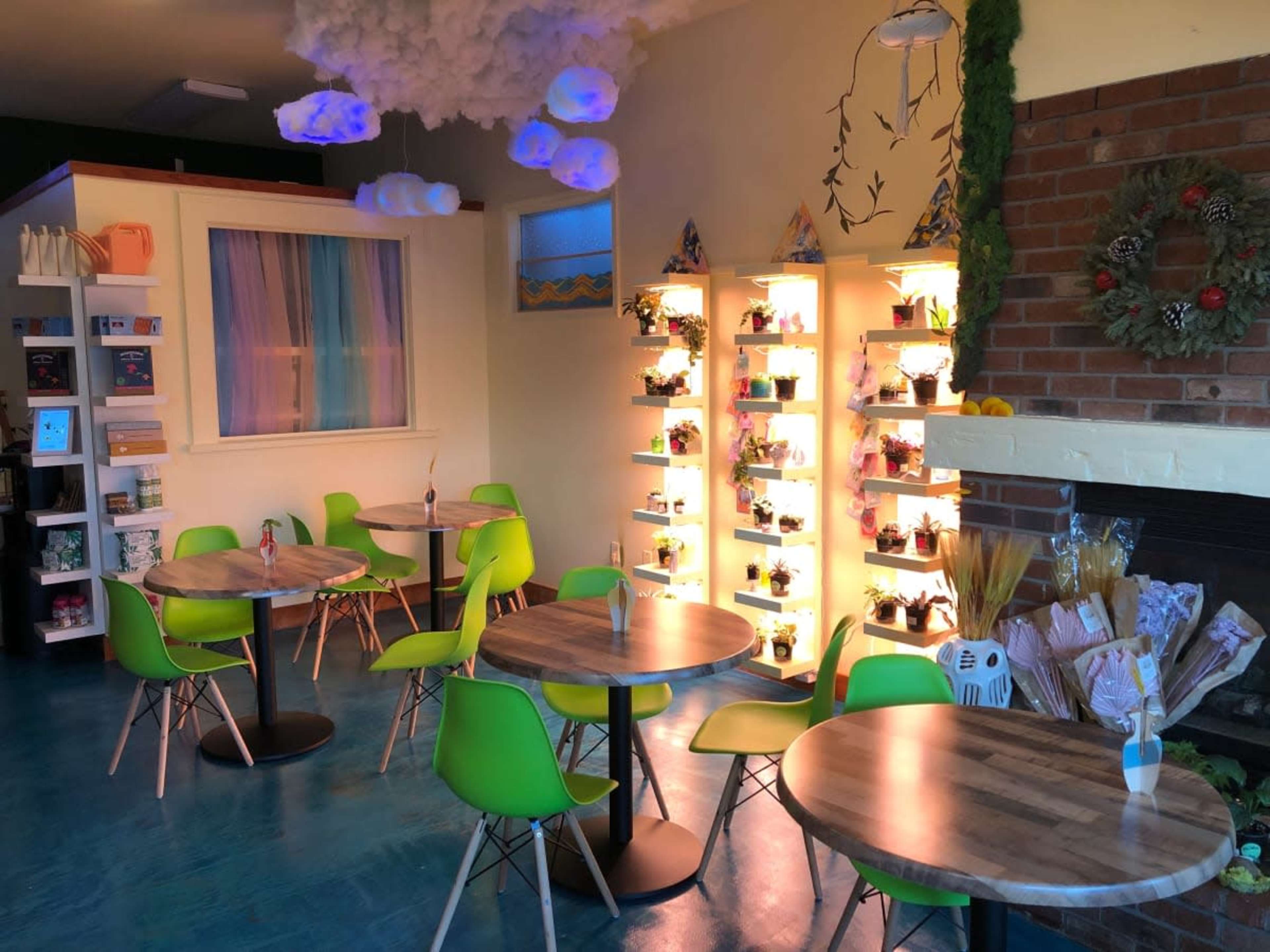 The image shows a colorful cafe interior with green chairs and small wooden tables, lit by decorative shelves filled with plants and illuminated by soft hanging clouds.