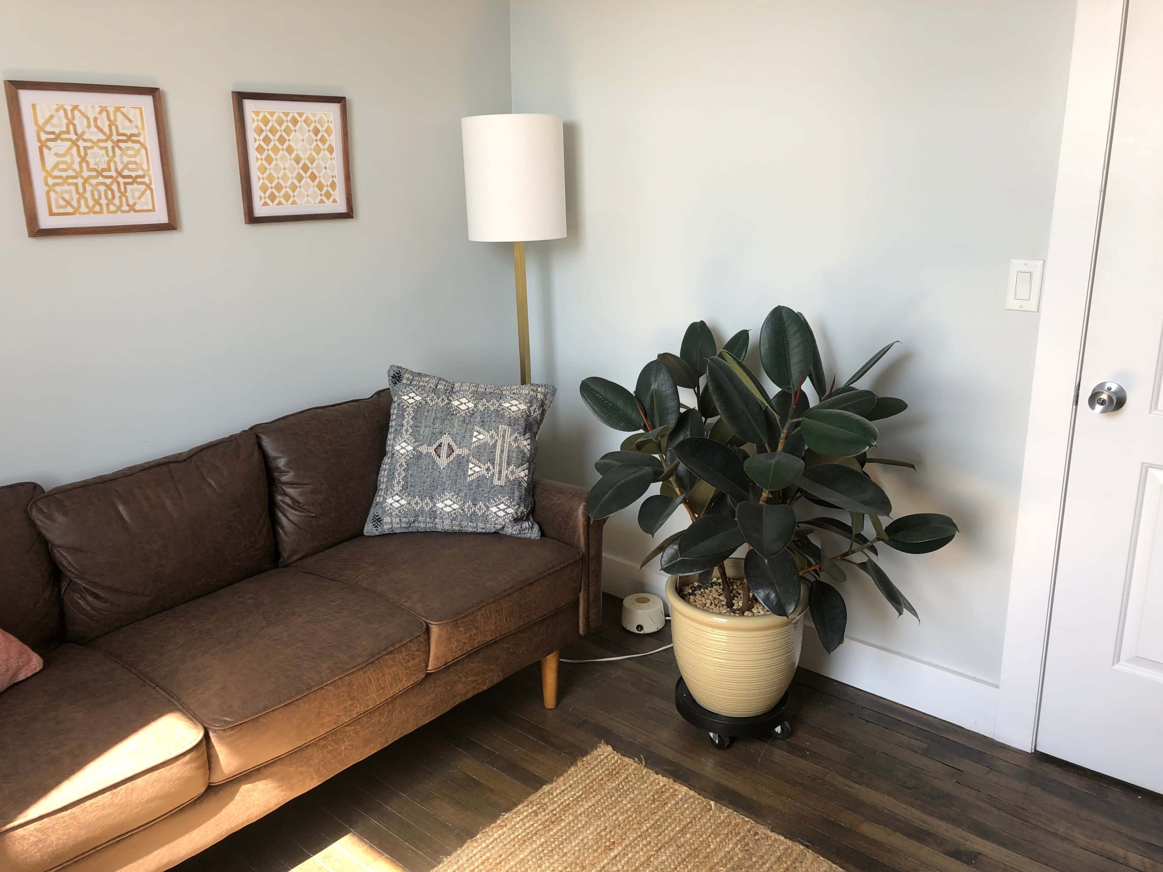 A brown sofa with a decorative pillow sits next to a large potted plant in a well-lit corner of a room.