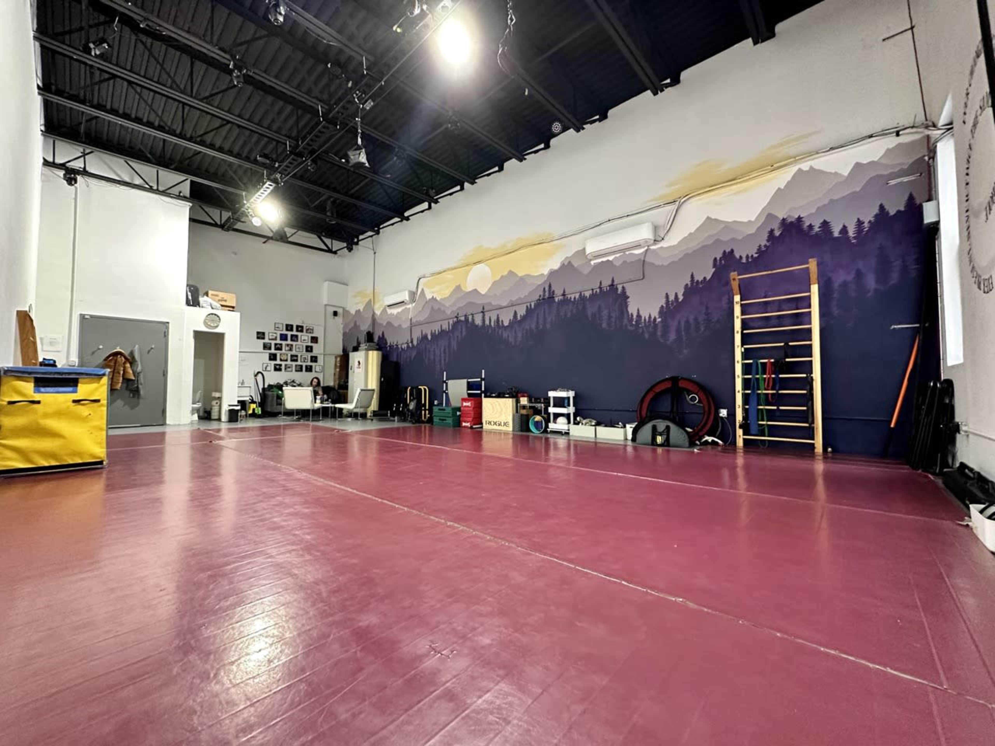 A spacious indoor gym with a purple mat, a mural of mountains and trees on the wall, and various fitness equipment arranged throughout the room.