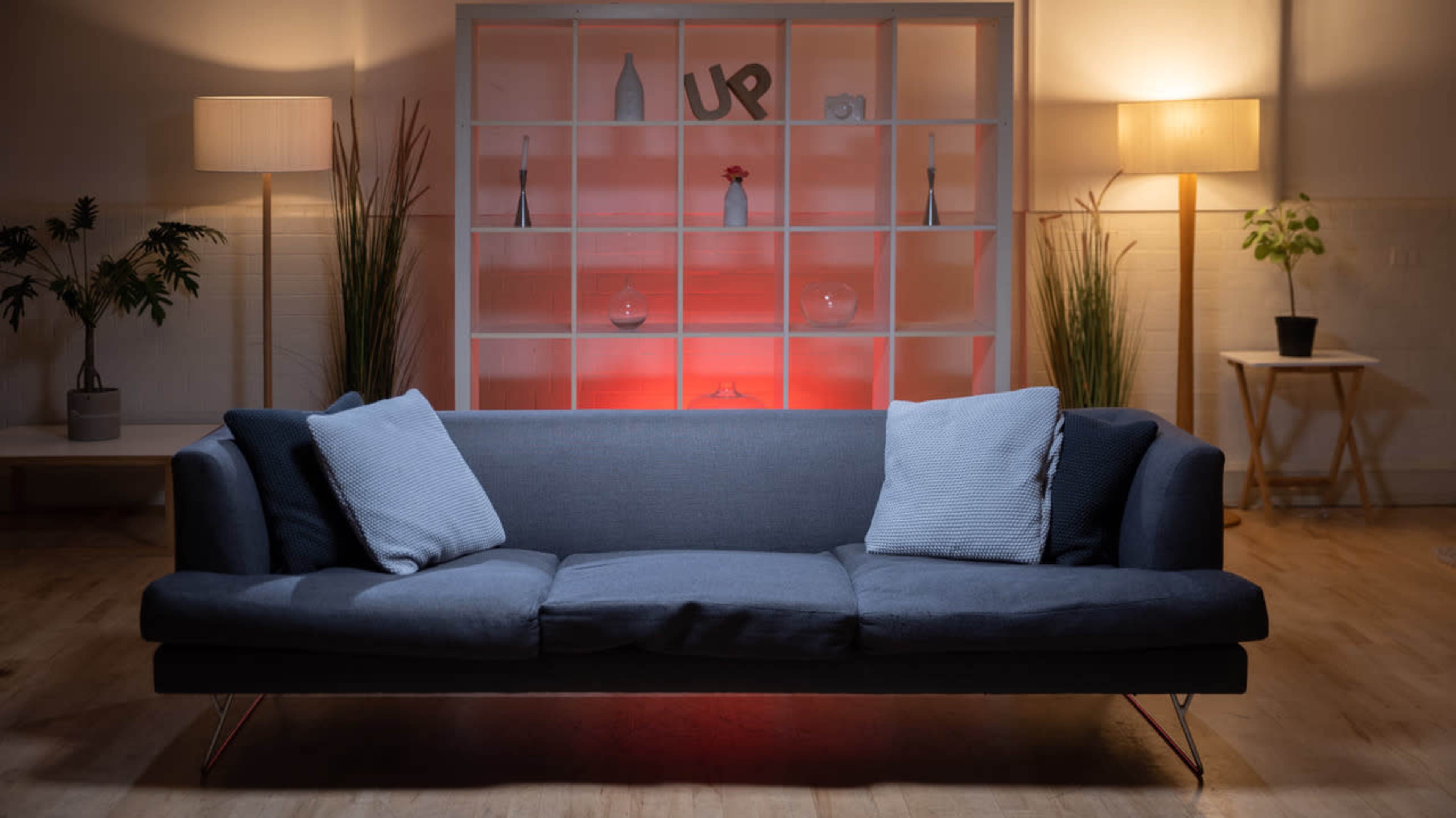 A modern gray sofa with two cushions is positioned in front of a brightly lit shelf displaying decorative items and plants.