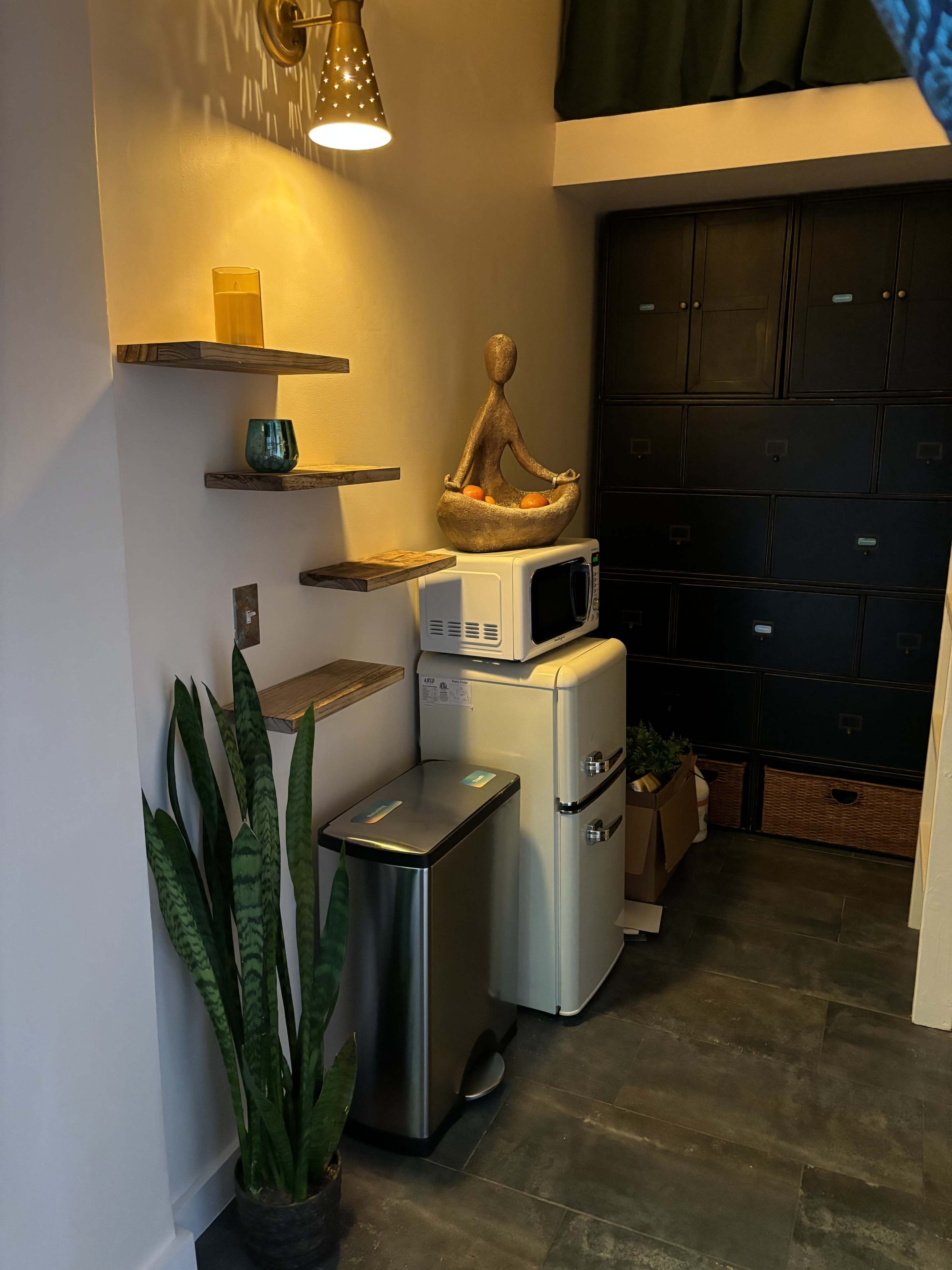 A corner of a room featuring a small refrigerator, a microwave, a shelf with decor, a plant, and a storage cabinet.