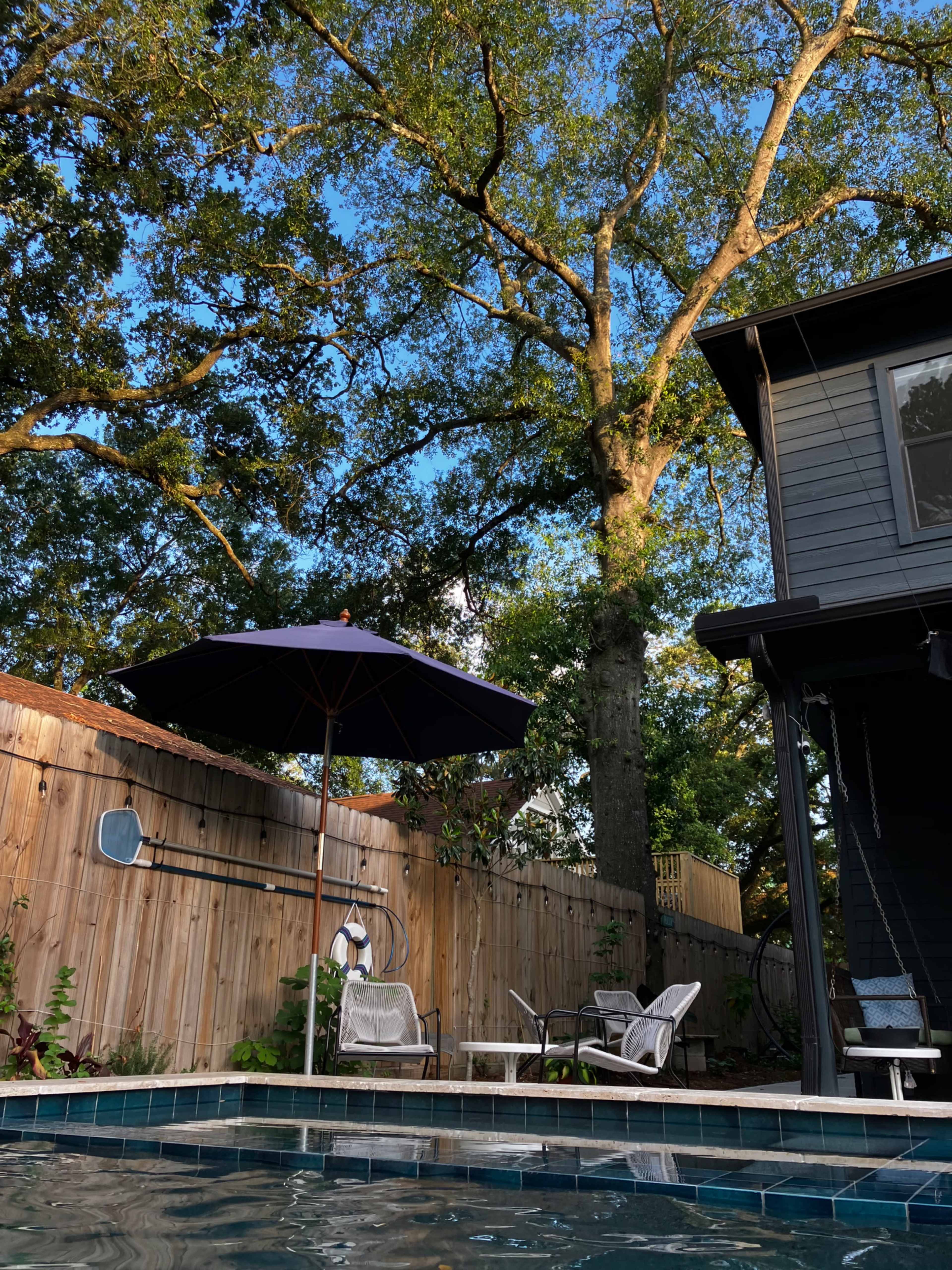 Garden Oasis with lush landscaping and pool Image in Northside, Houston, TX