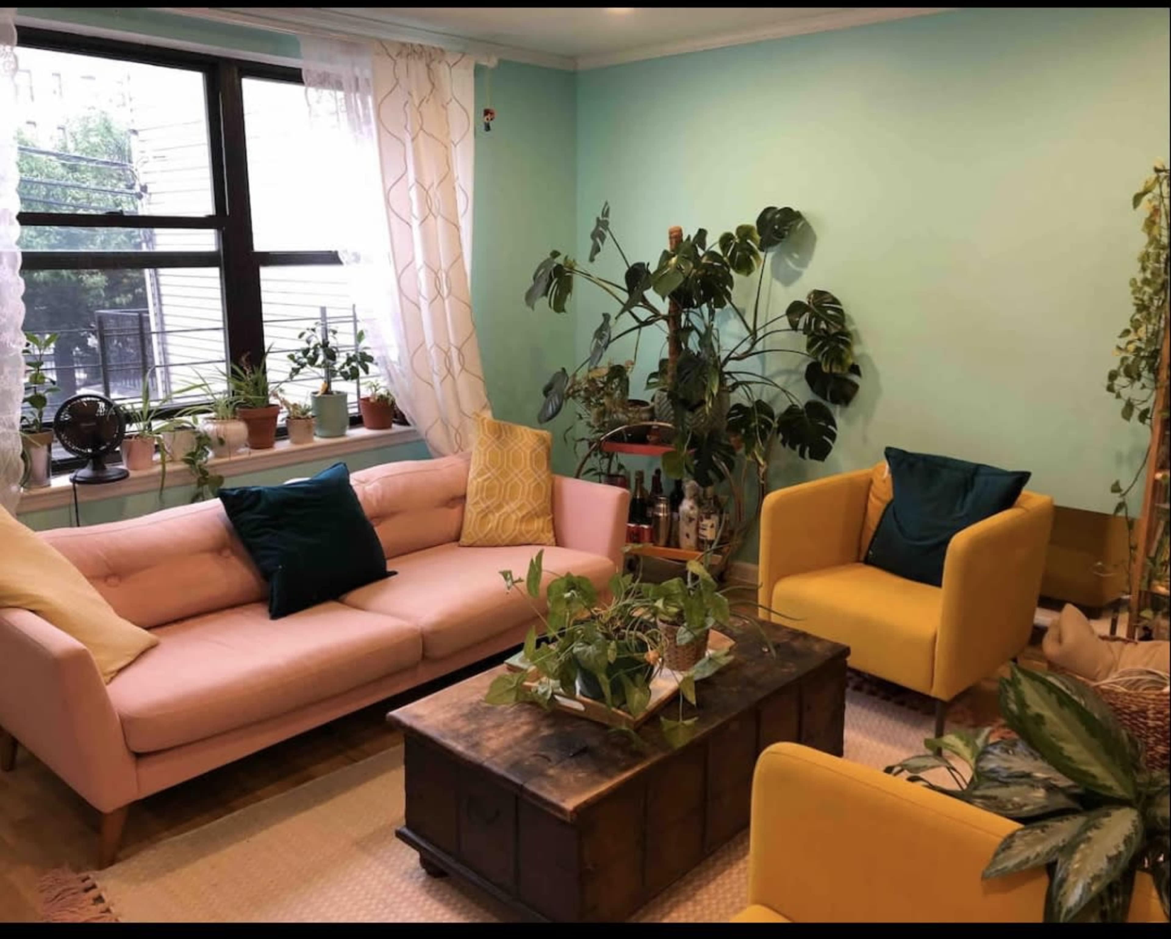 A living room features a pink sofa and yellow chairs surrounded by various houseplants and a wooden coffee table.