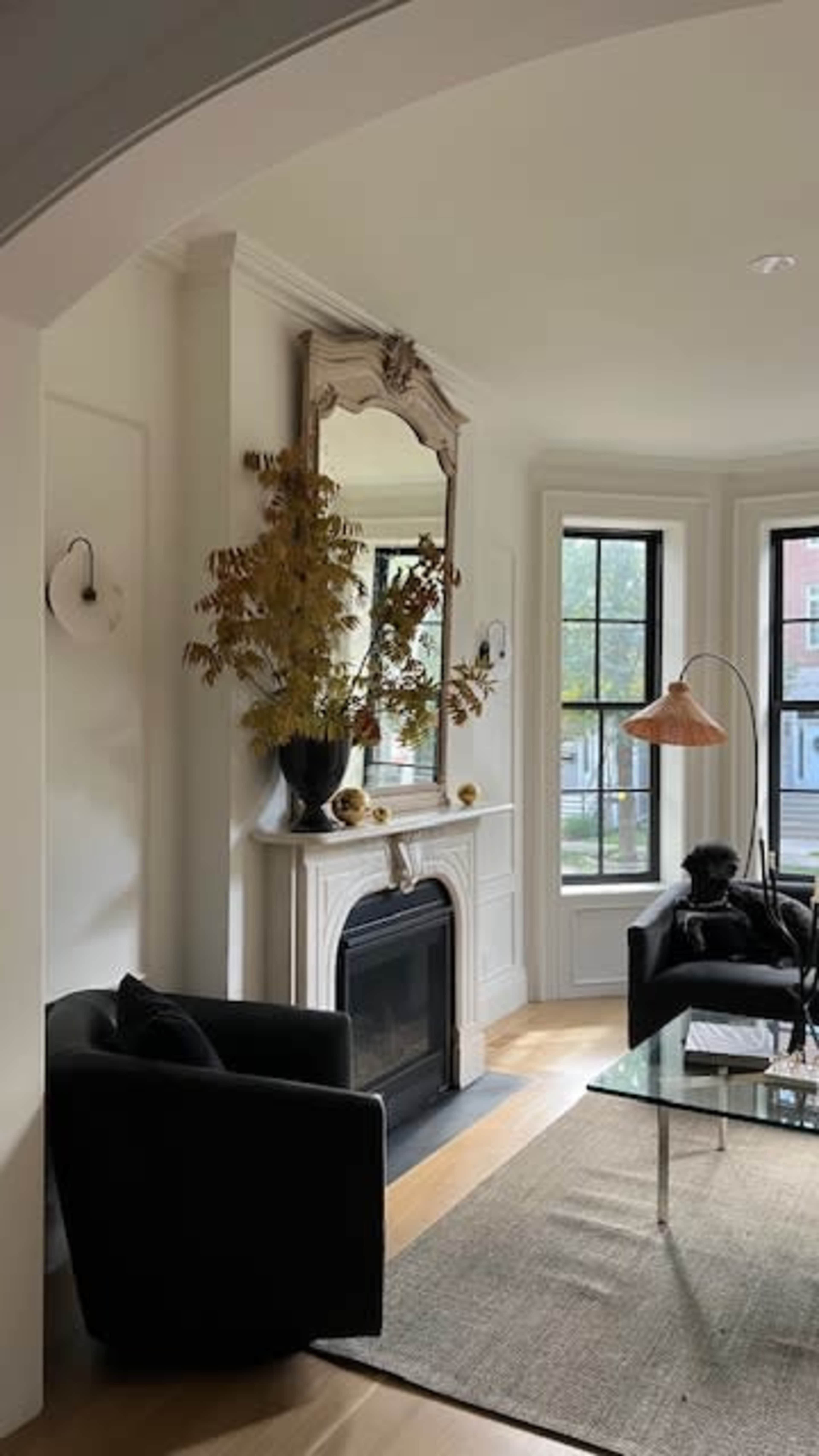 Sophisticated Single Family Home Bathed in Natural Light Image in Lake View, Chicago, IL