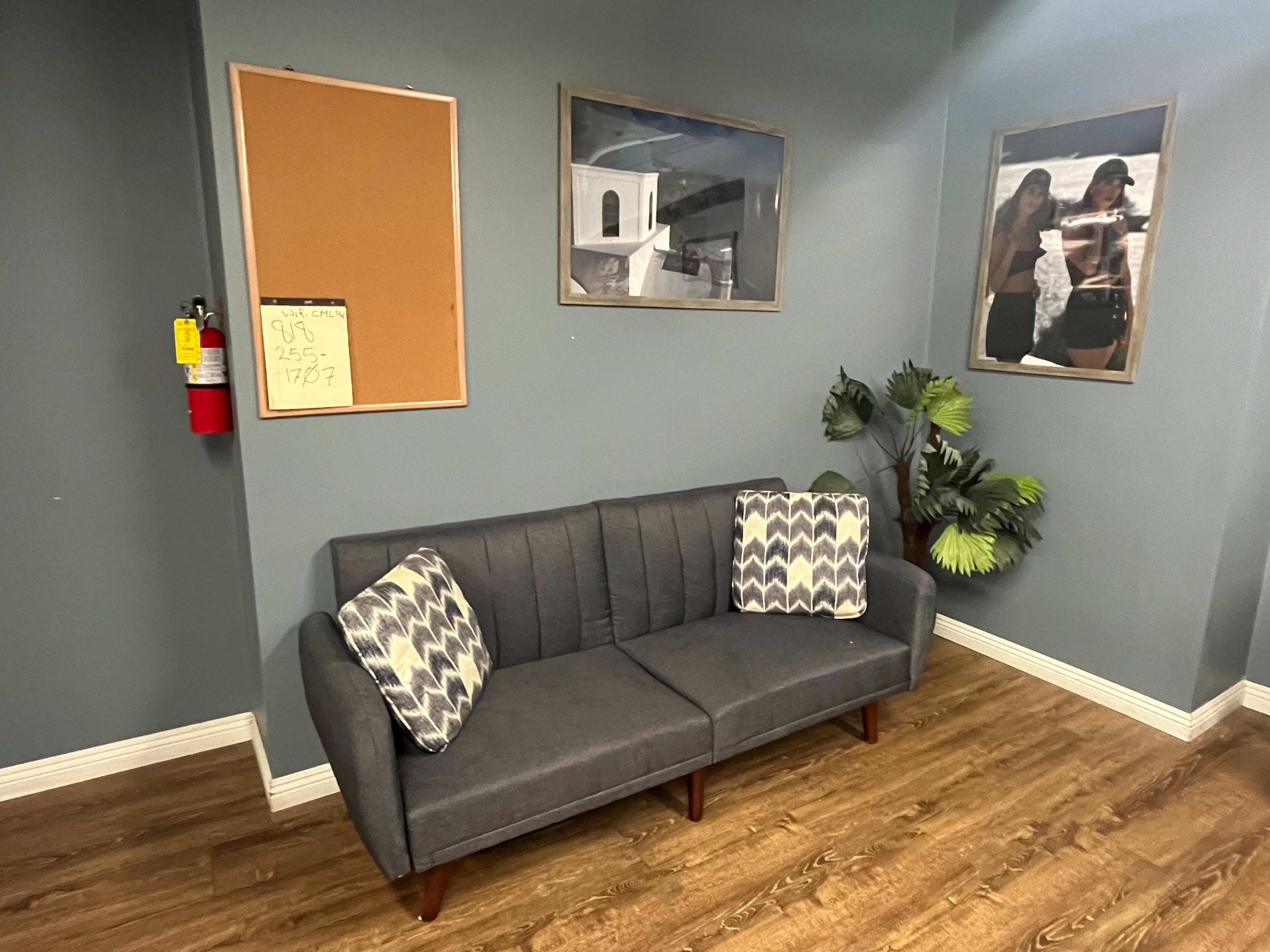 A gray sofa with patterned pillows is positioned against a blue wall, alongside a bulletin board and two framed pictures, with a potted plant nearby.
