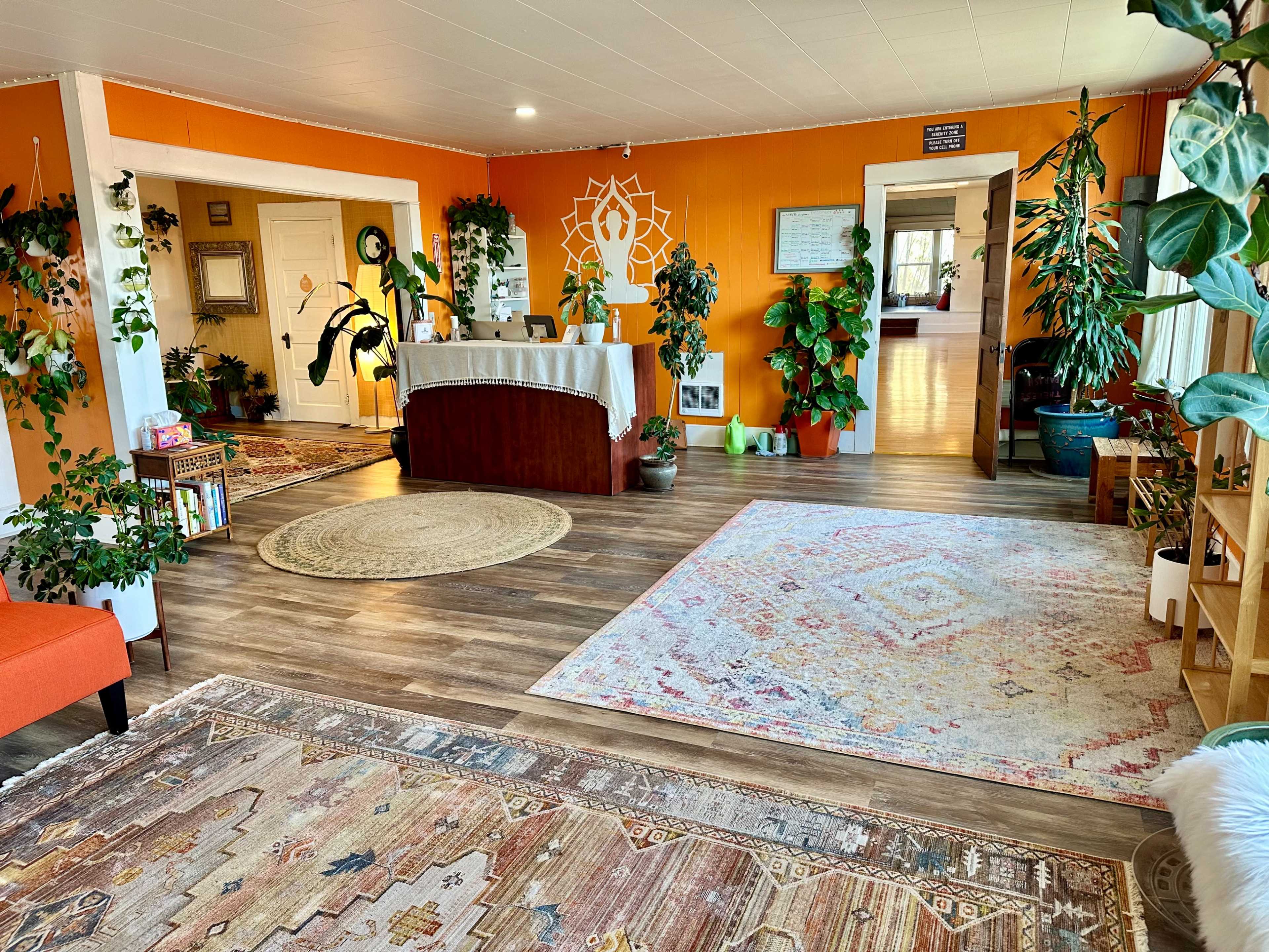 A brightly lit interior space with wooden flooring, orange walls, various plants, a reception area with a desk, and decorative rugs.
