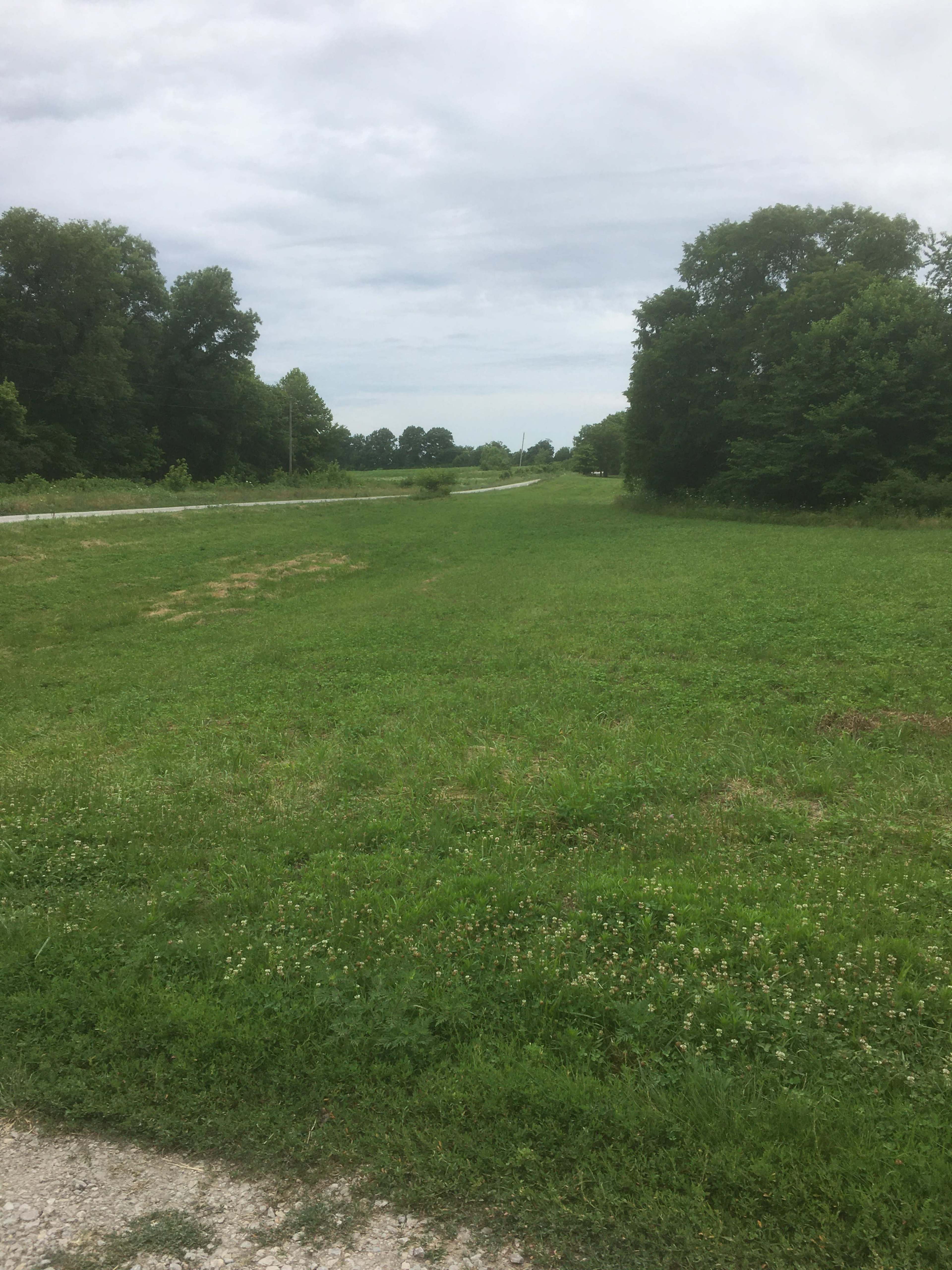 A wide, grassy area extends beside a gravel road, lined with trees and a cloudy sky overhead.