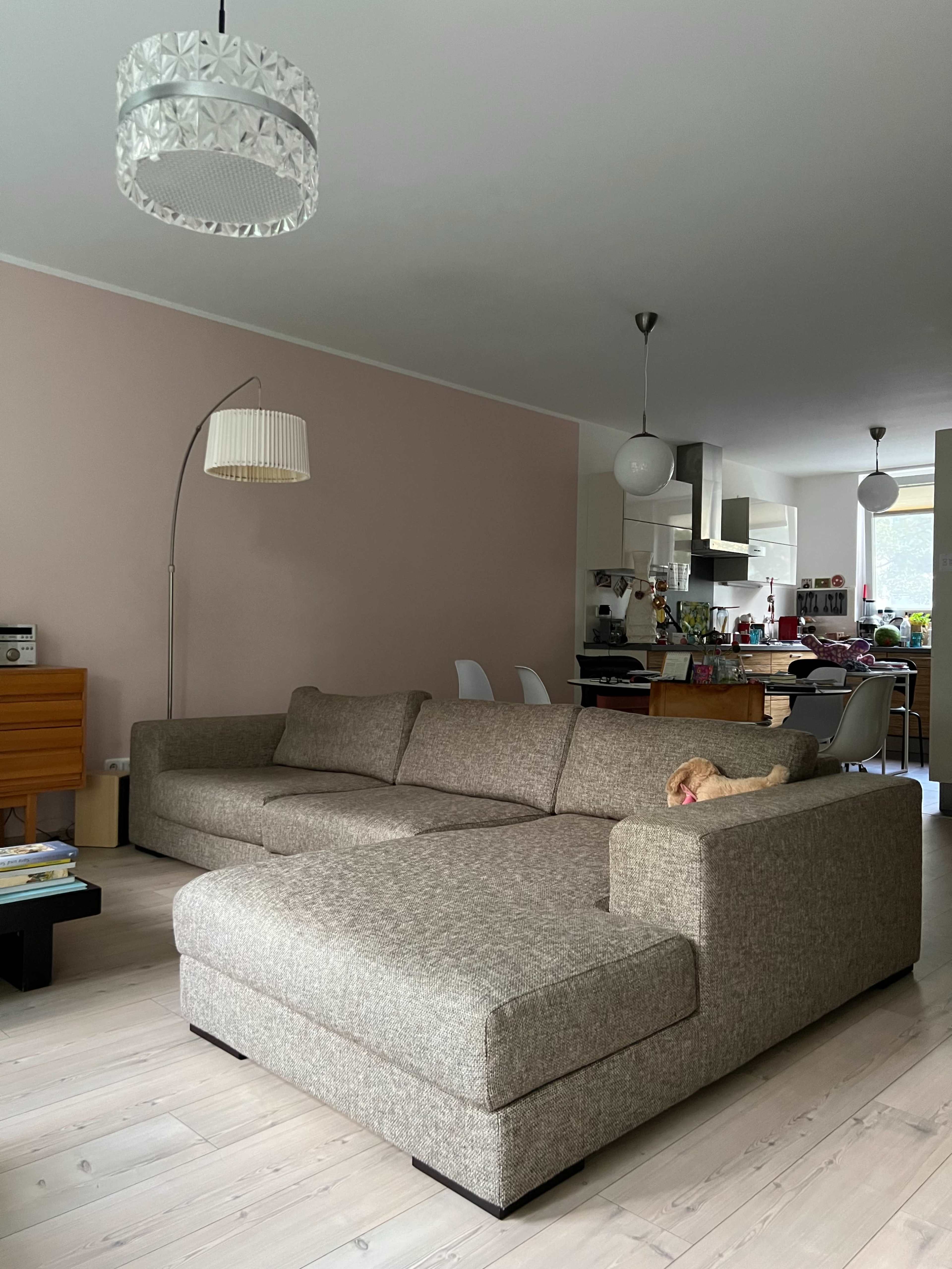 A spacious living room features a large sectional sofa with a small dog resting on it, and a kitchen area visible in the background.
