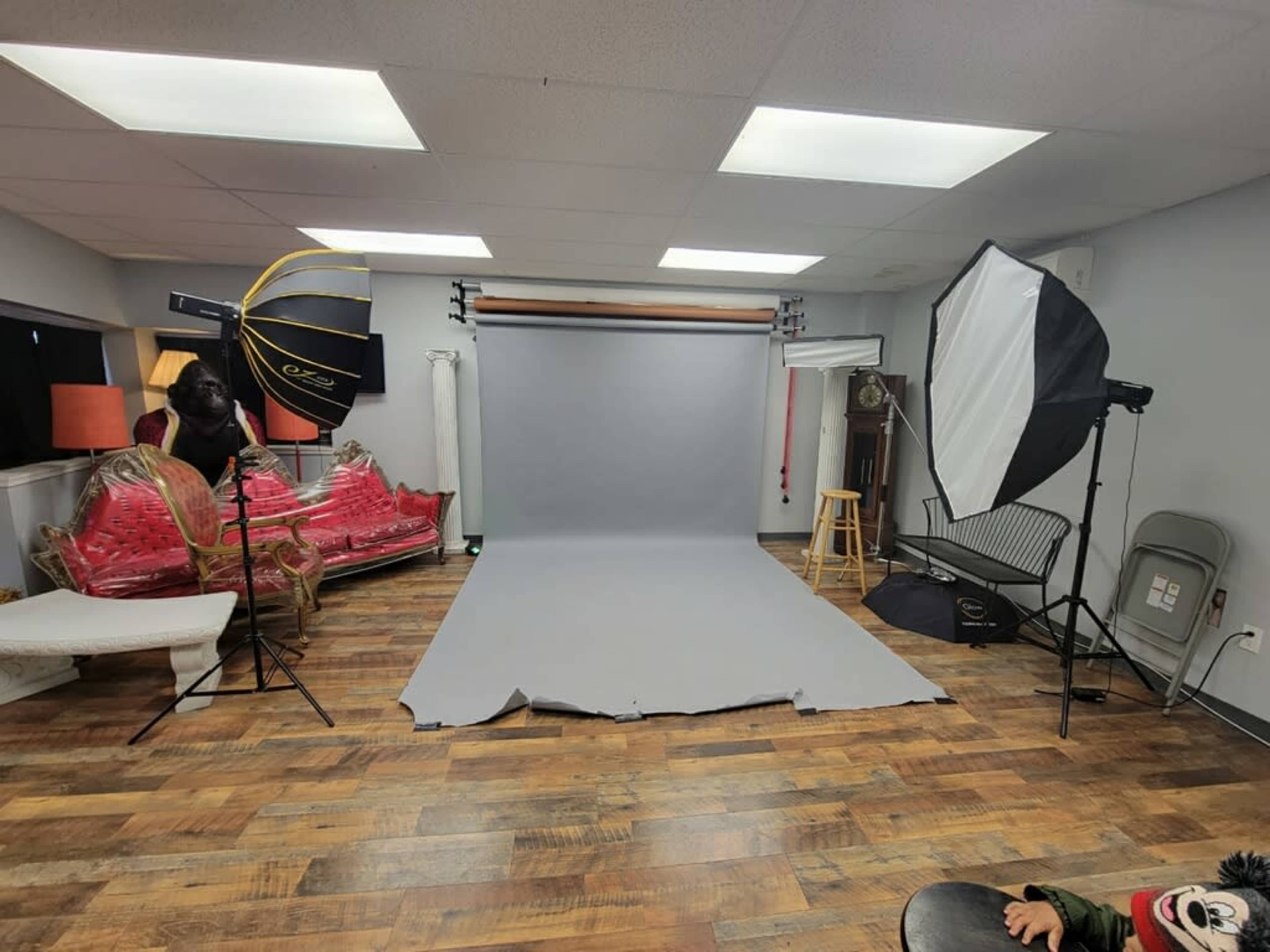 A photography studio with a gray backdrop, lighting equipment, and various props including chairs and a couch against the walls.