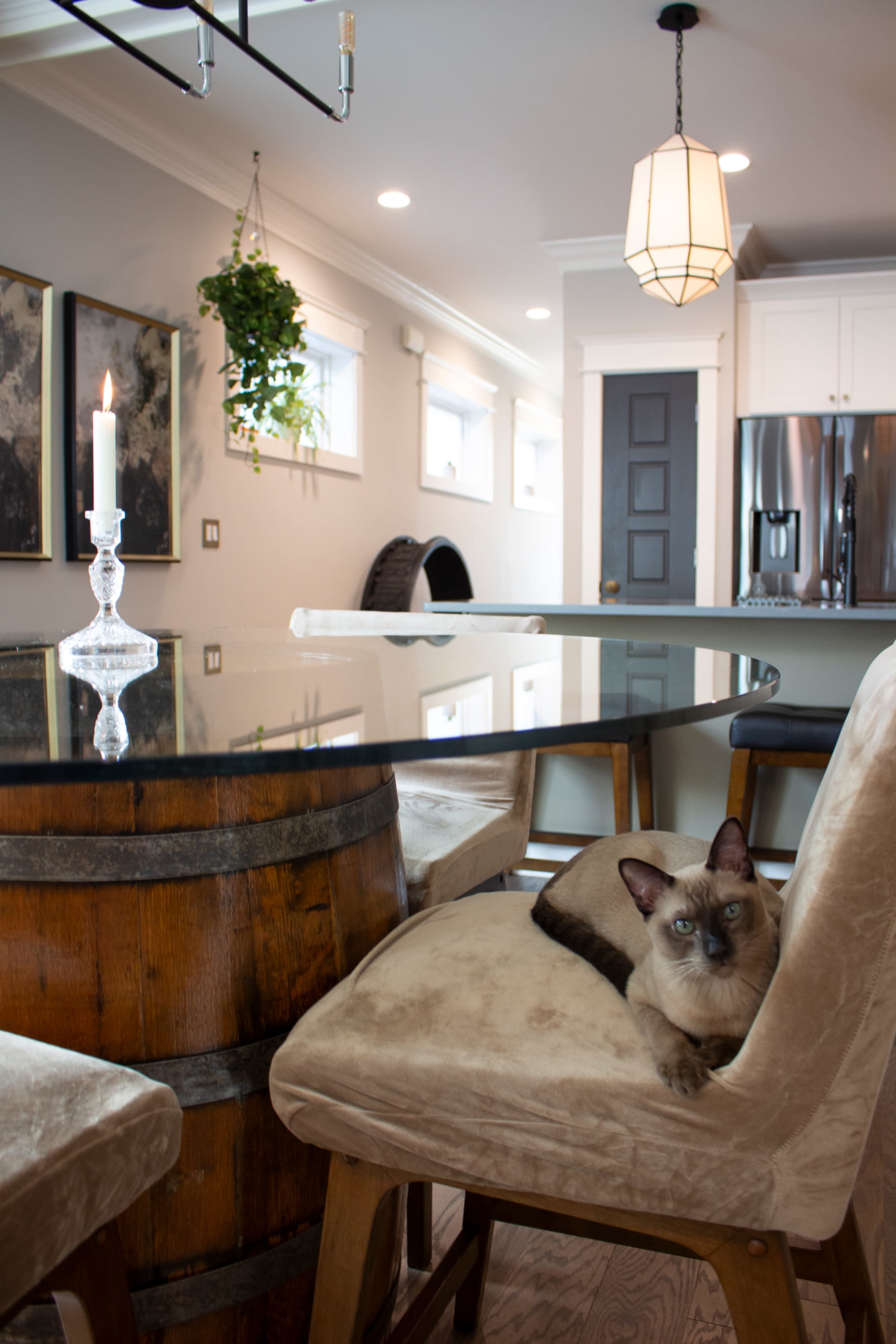 A cat rests on a chair beside a glass dining table in a modern kitchen with wooden accents and natural light.