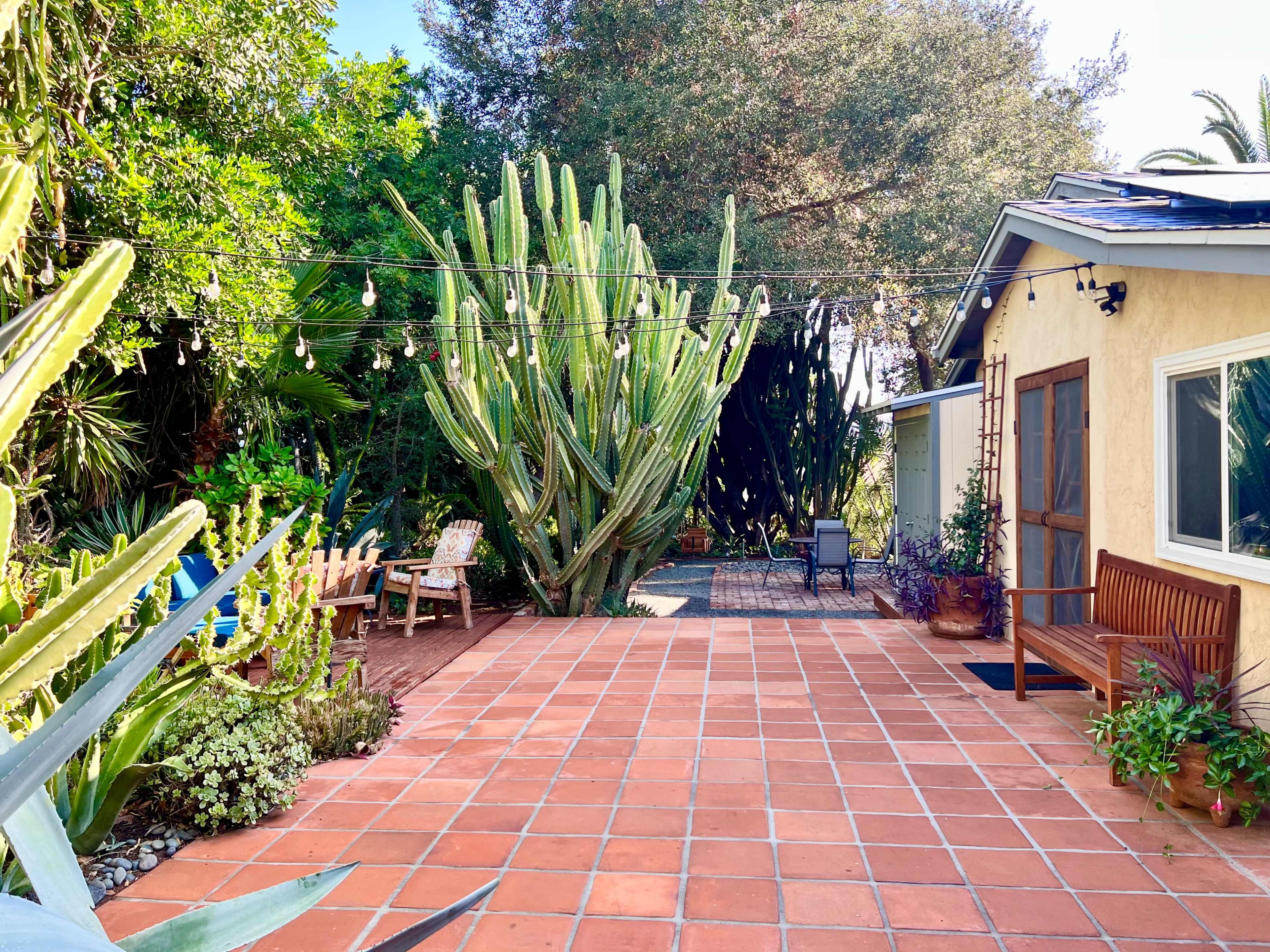 The image shows a spacious outdoor patio with terracotta tiles, surrounded by lush greenery and a large cactus, featuring wooden seating and string lights overhead.
