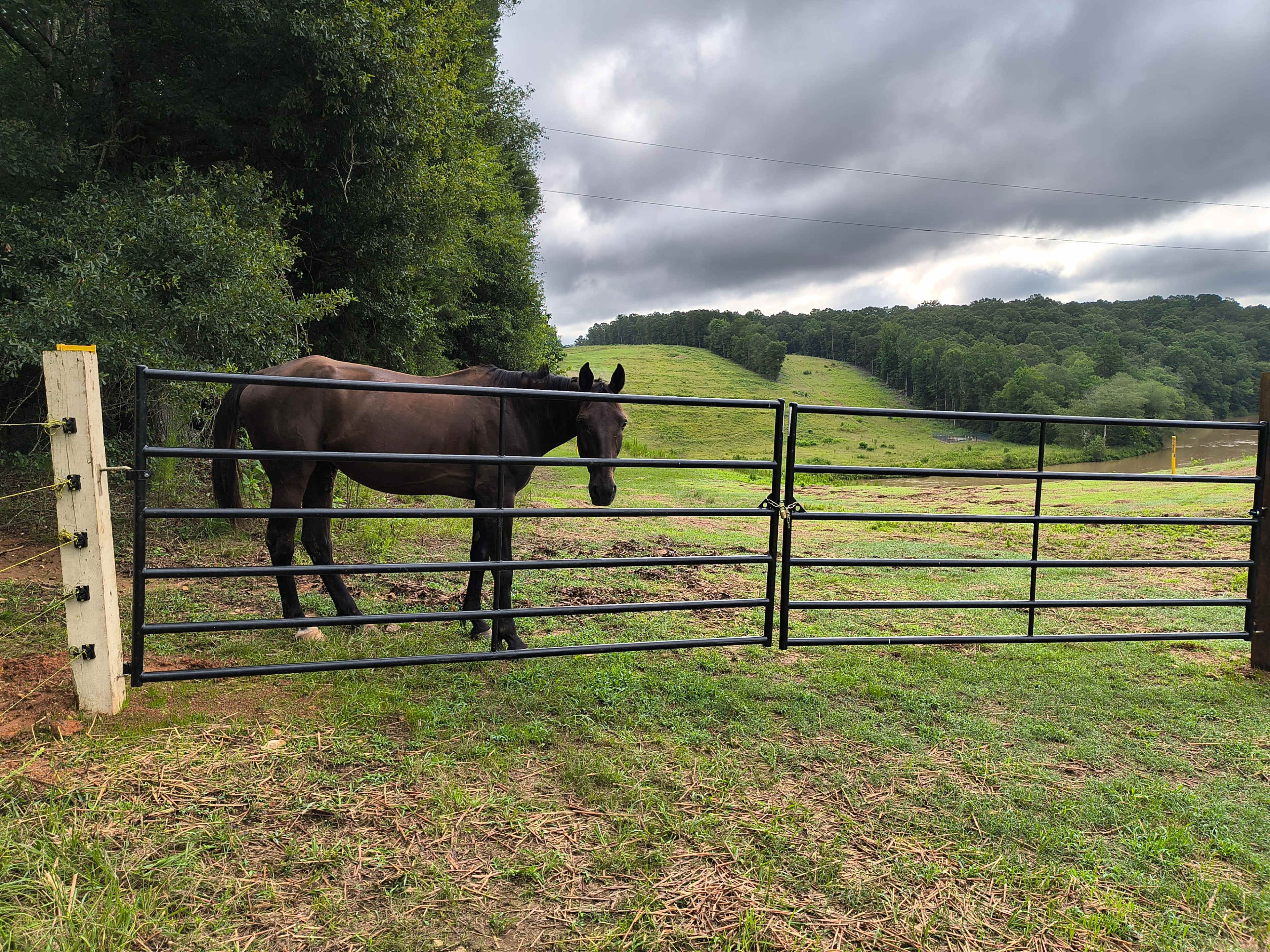 A brown horse stands by a gated pasture amid green hills and overcast skies.