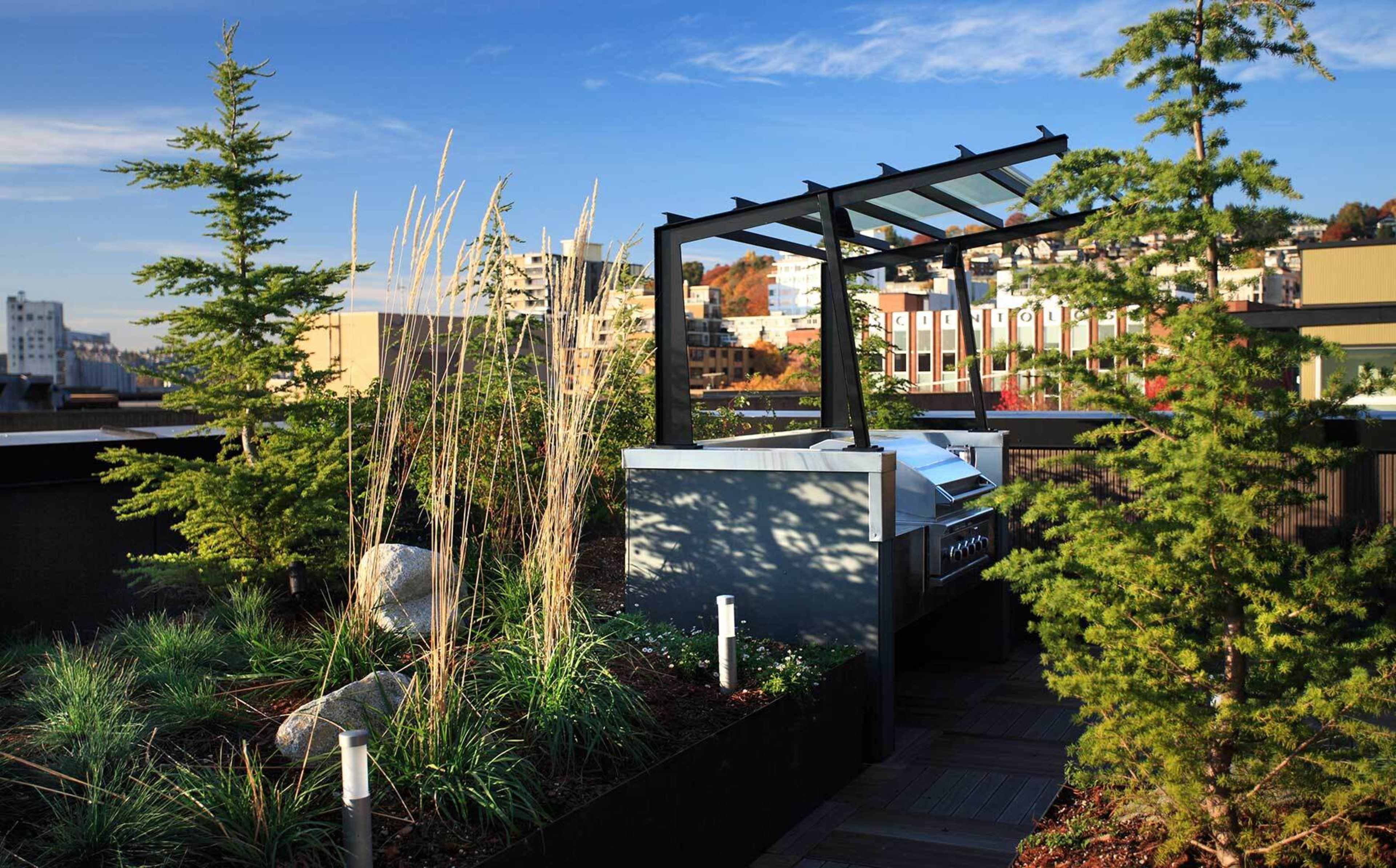 A rooftop garden features a barbecue grill surrounded by ornamental grasses and evergreen plants against an urban backdrop.